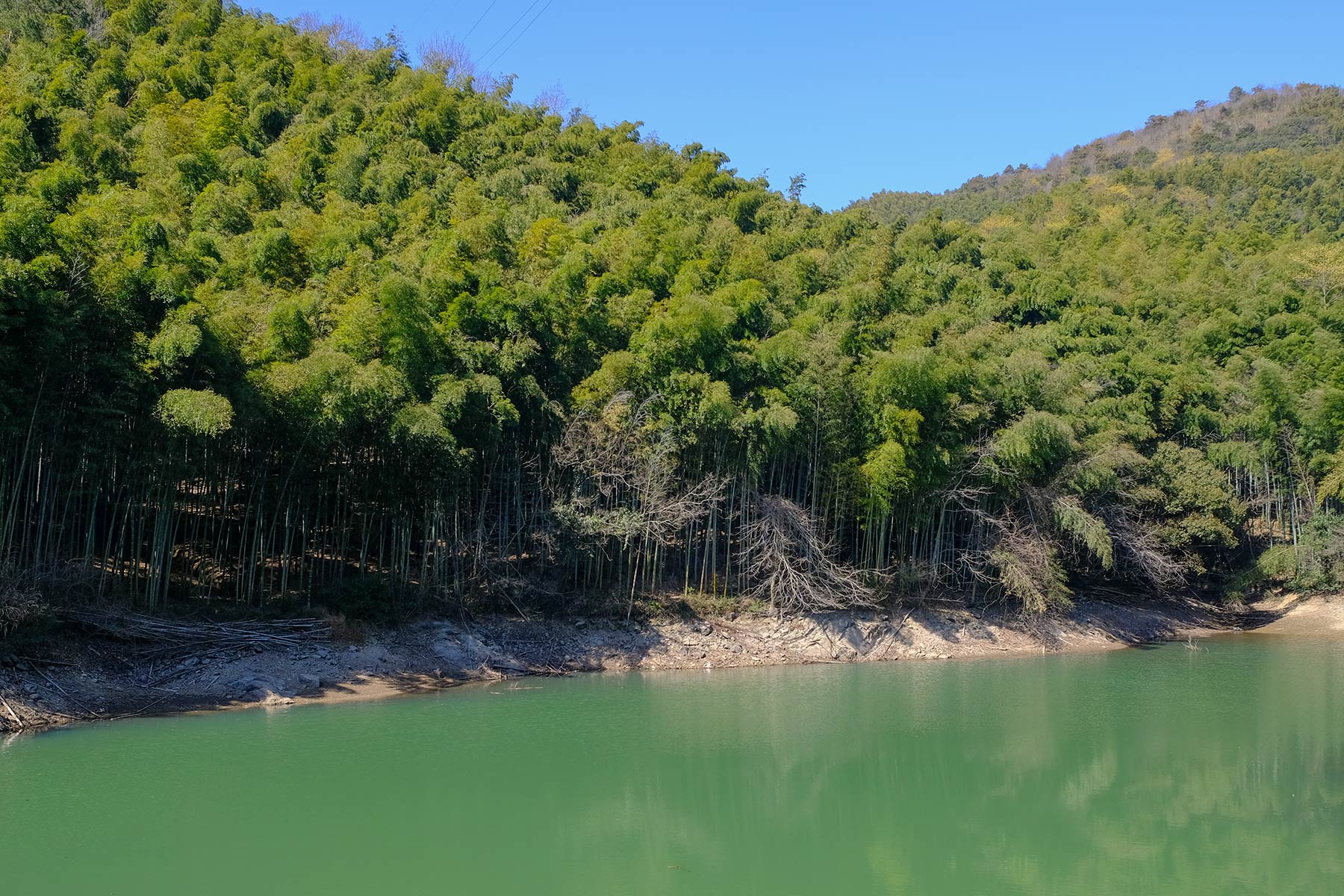 Teich im Nine Dragon Lake Park in Ningbo, China