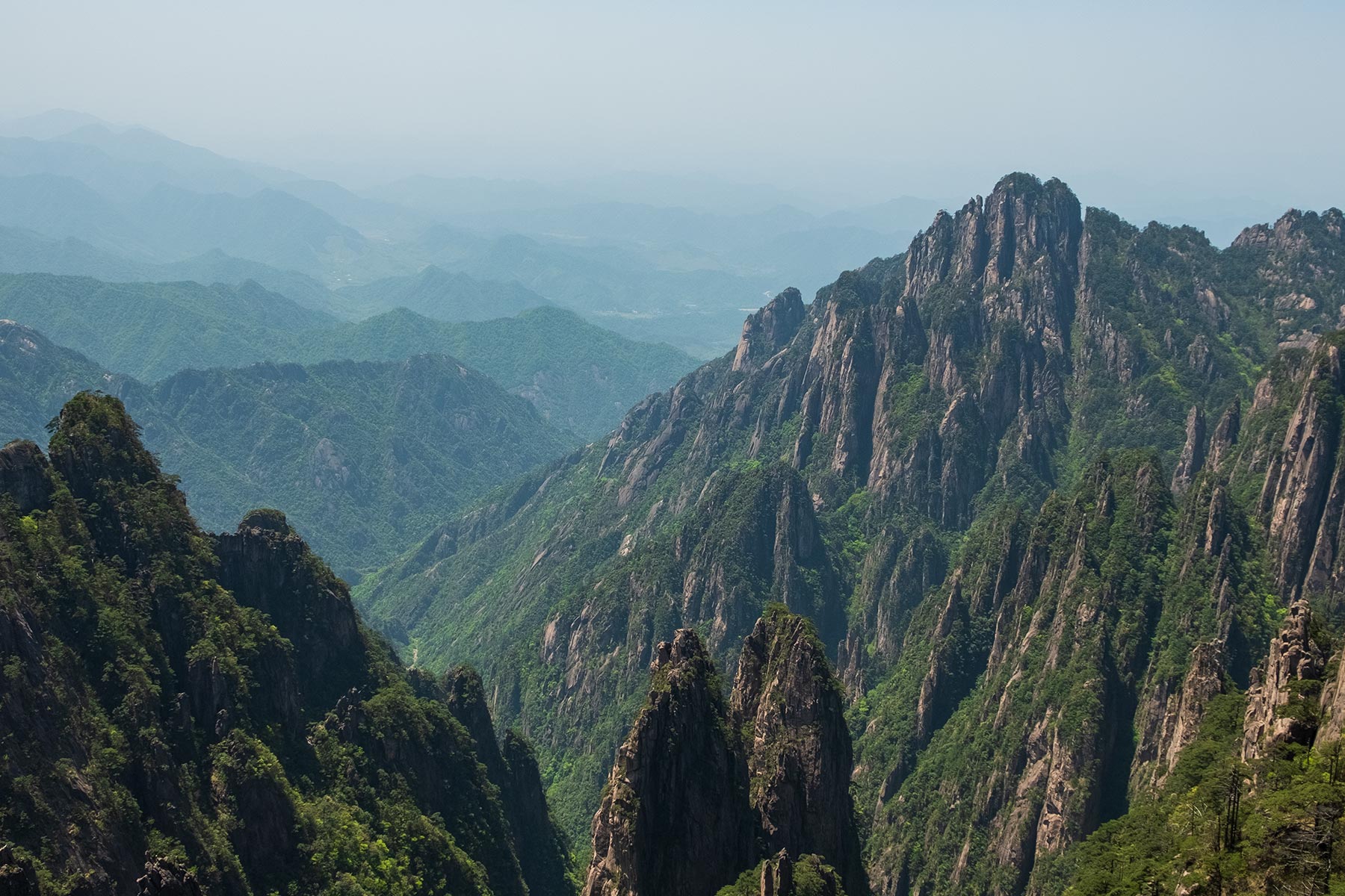Blick in den Canyon im Huangshan Gebirge in Anhui, China im Frühling