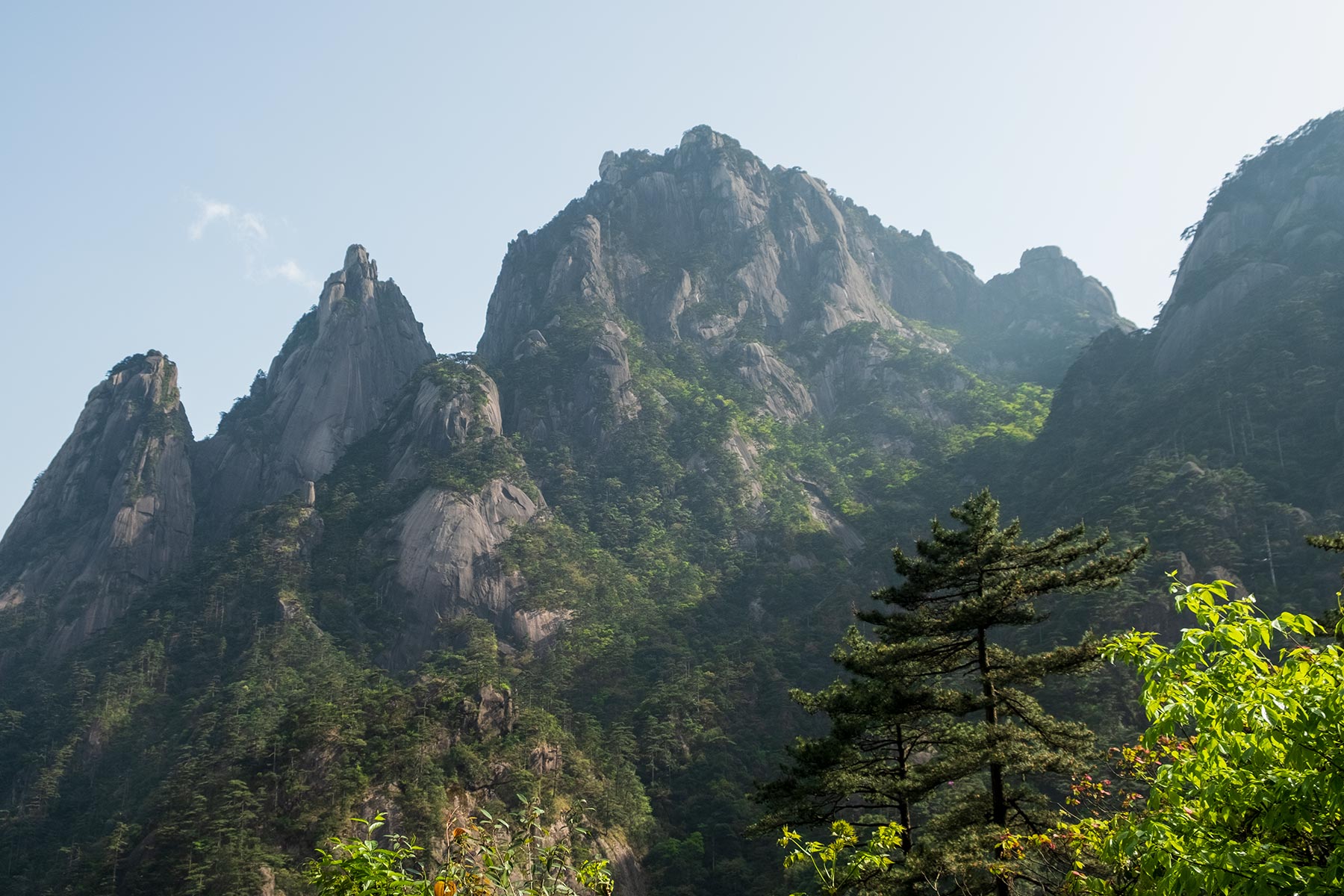 Huangshan Gebirge in Anhui, China im Frühling