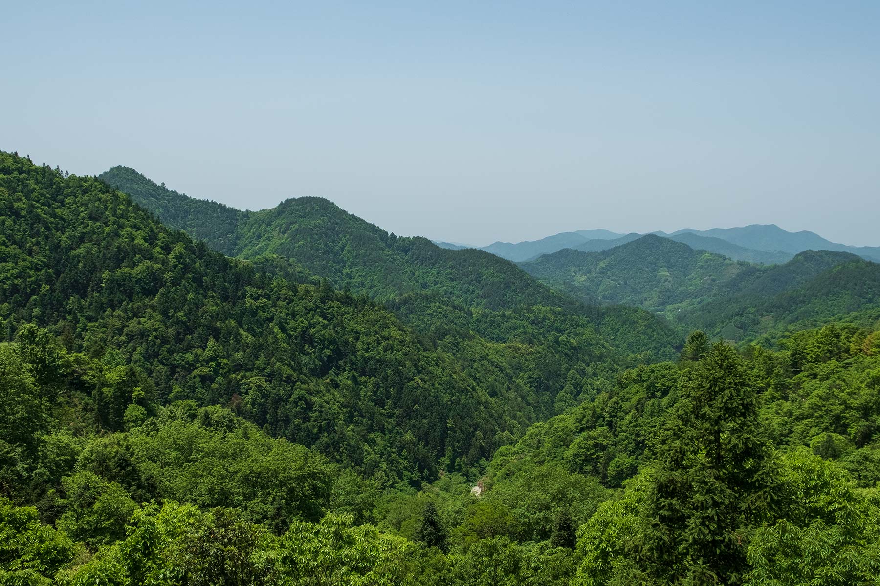 Blick von Yangchan Tulou Dorf in Anhui in die Natur