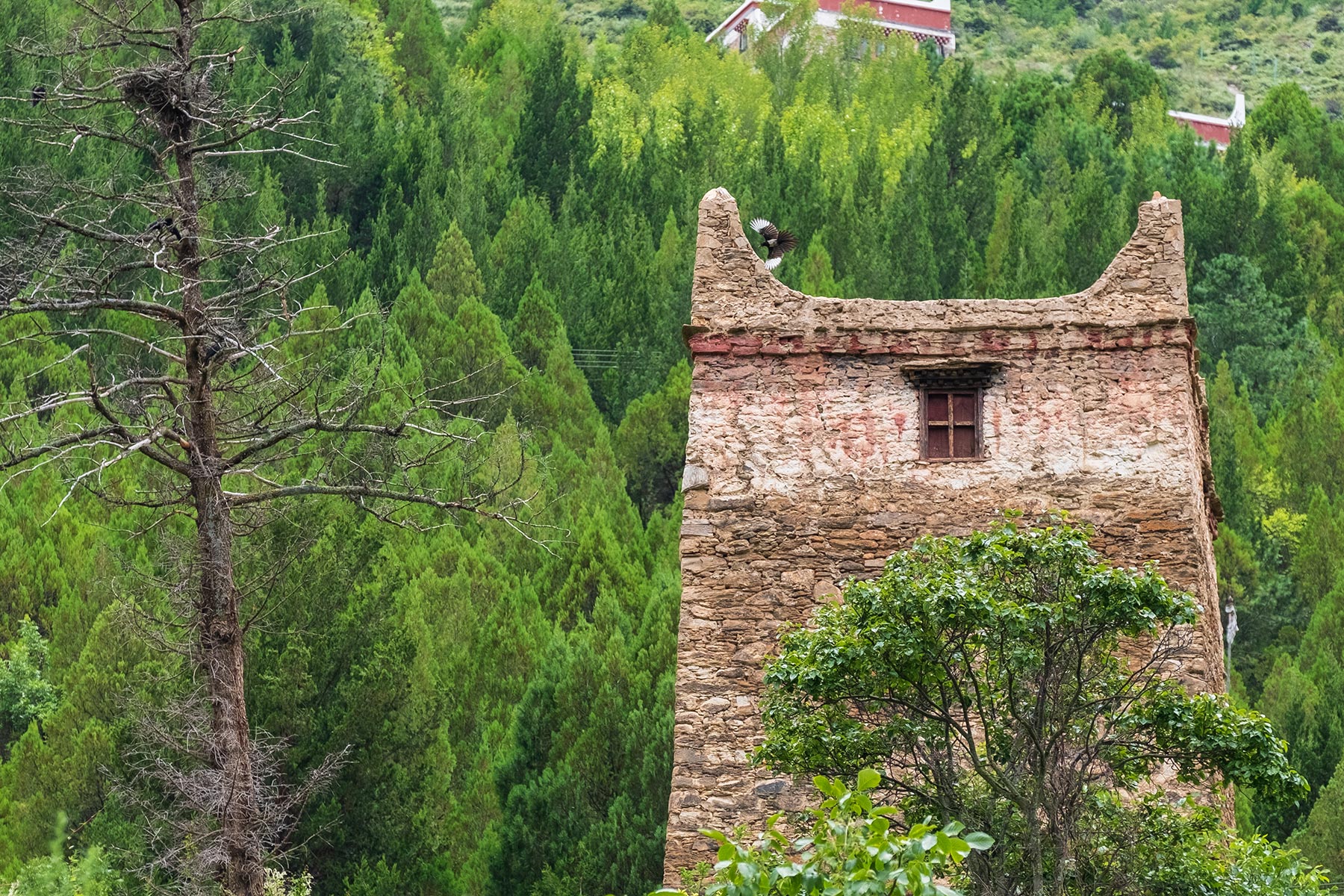 Turm aus Stein im tibetischen Dorf Danba Zangzhai in China