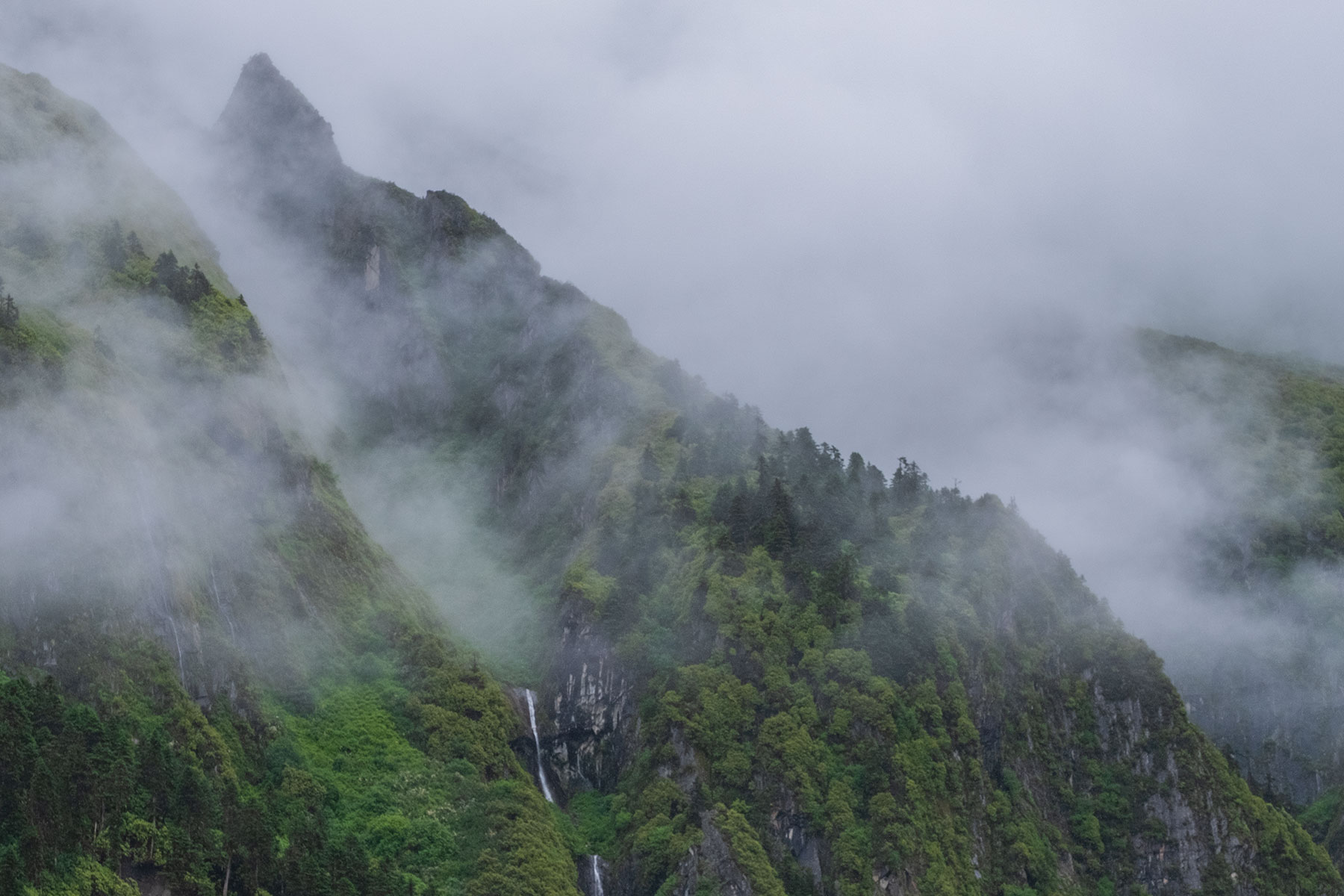 Wald in Regenwolken im Vogel im Hailuogou Gletscher Park in Sichuan