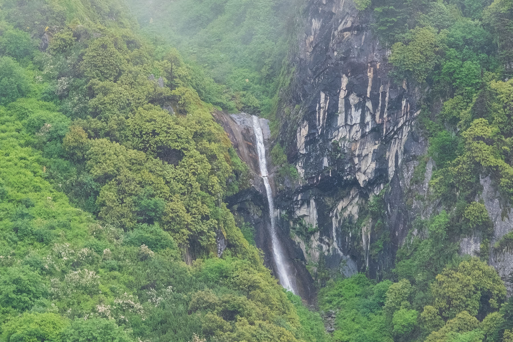 Wasserfall im Vogel im Hailuogou Gletscher Park in Sichuan