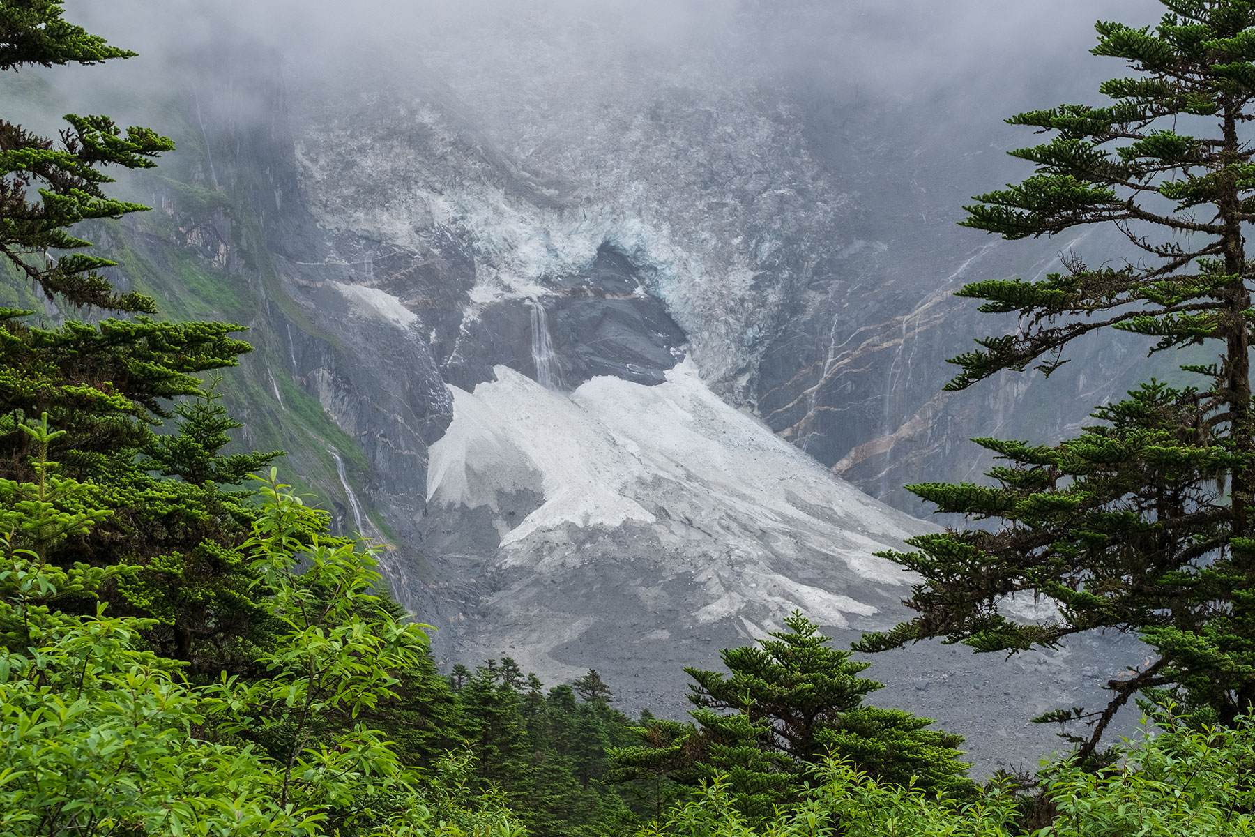 Blick auf Gletscher im Vogel im Hailuogou Gletscher Park in Sichuan