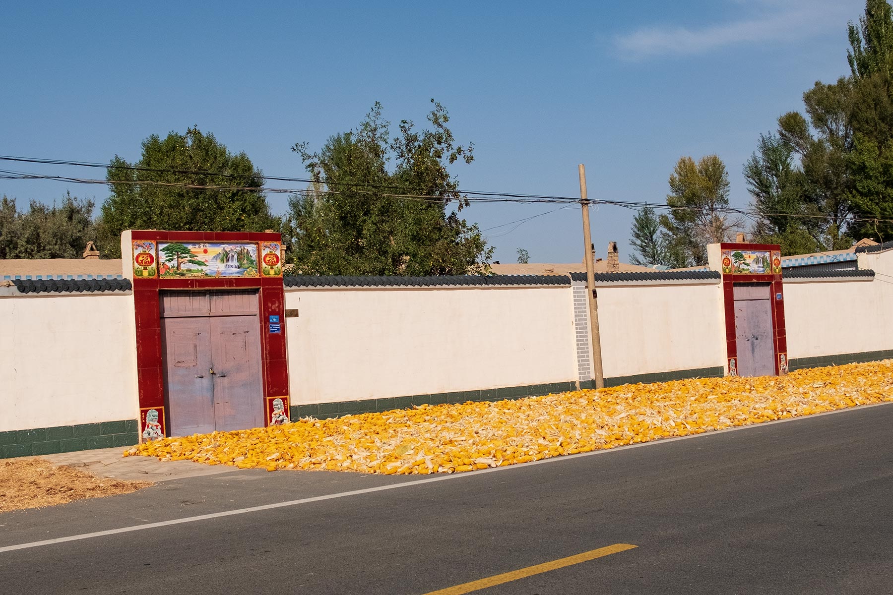 Mais wird auf der Straße getrocknet in Gansu, China