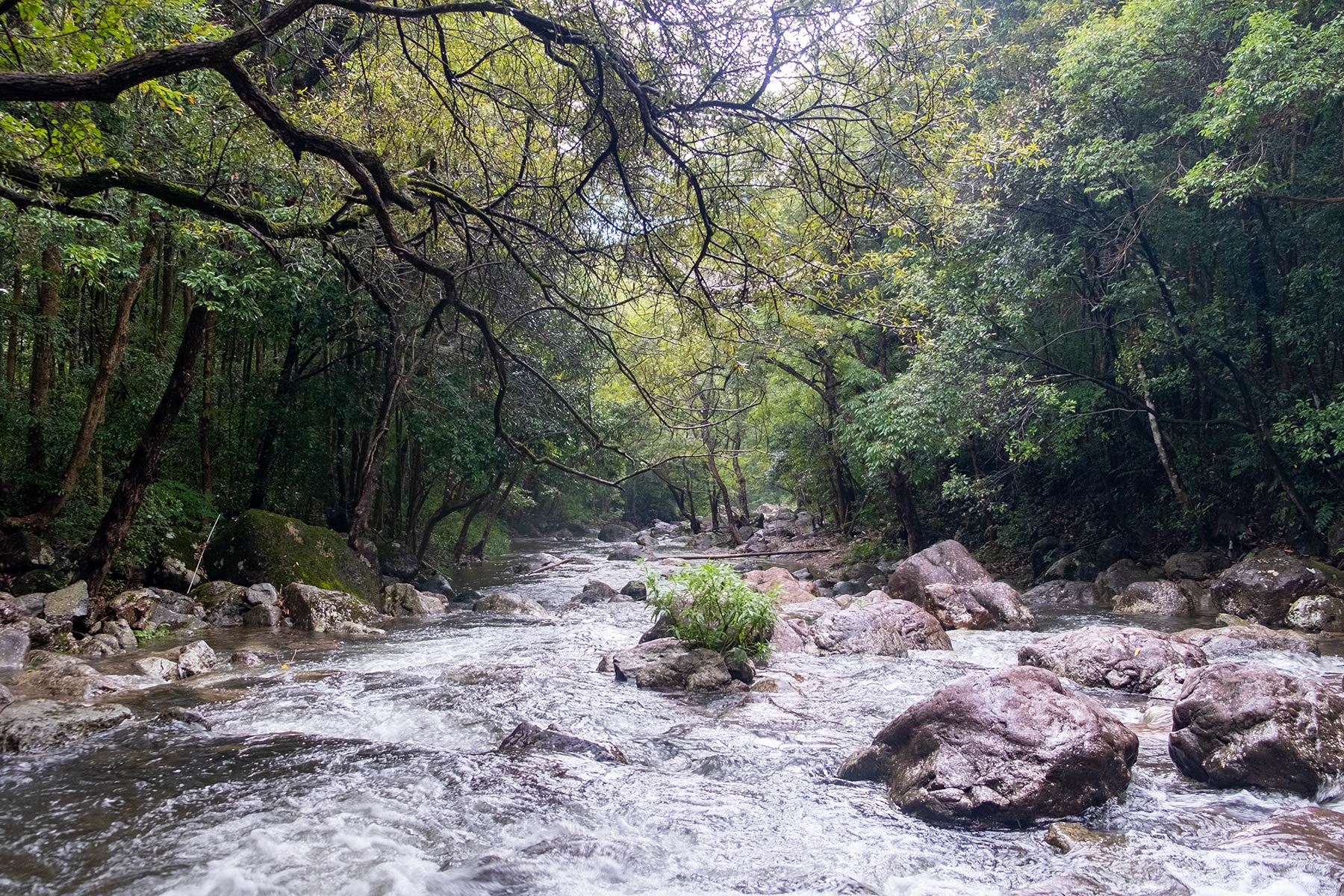 River Hiking Flusswanderung in Ningbo, Zhejiang
