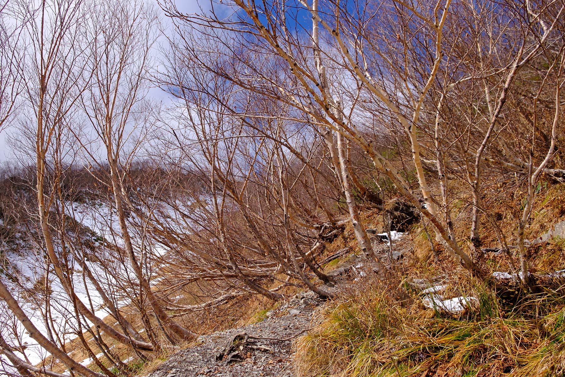 Wanderung im Schnee zum Mt. Karamatsu in Nagano, Japan