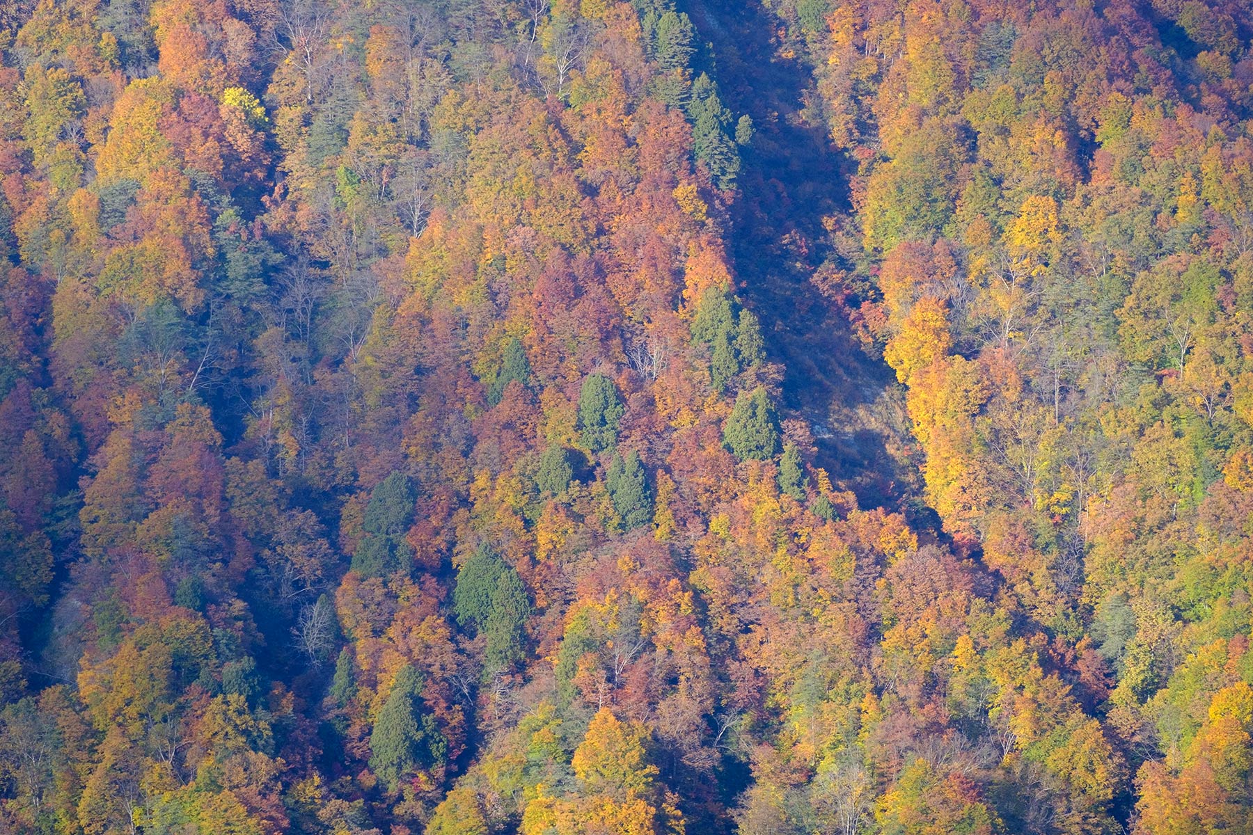 Koyo Herbstfarben in den Japanischen Alpen in Nagano, Japan