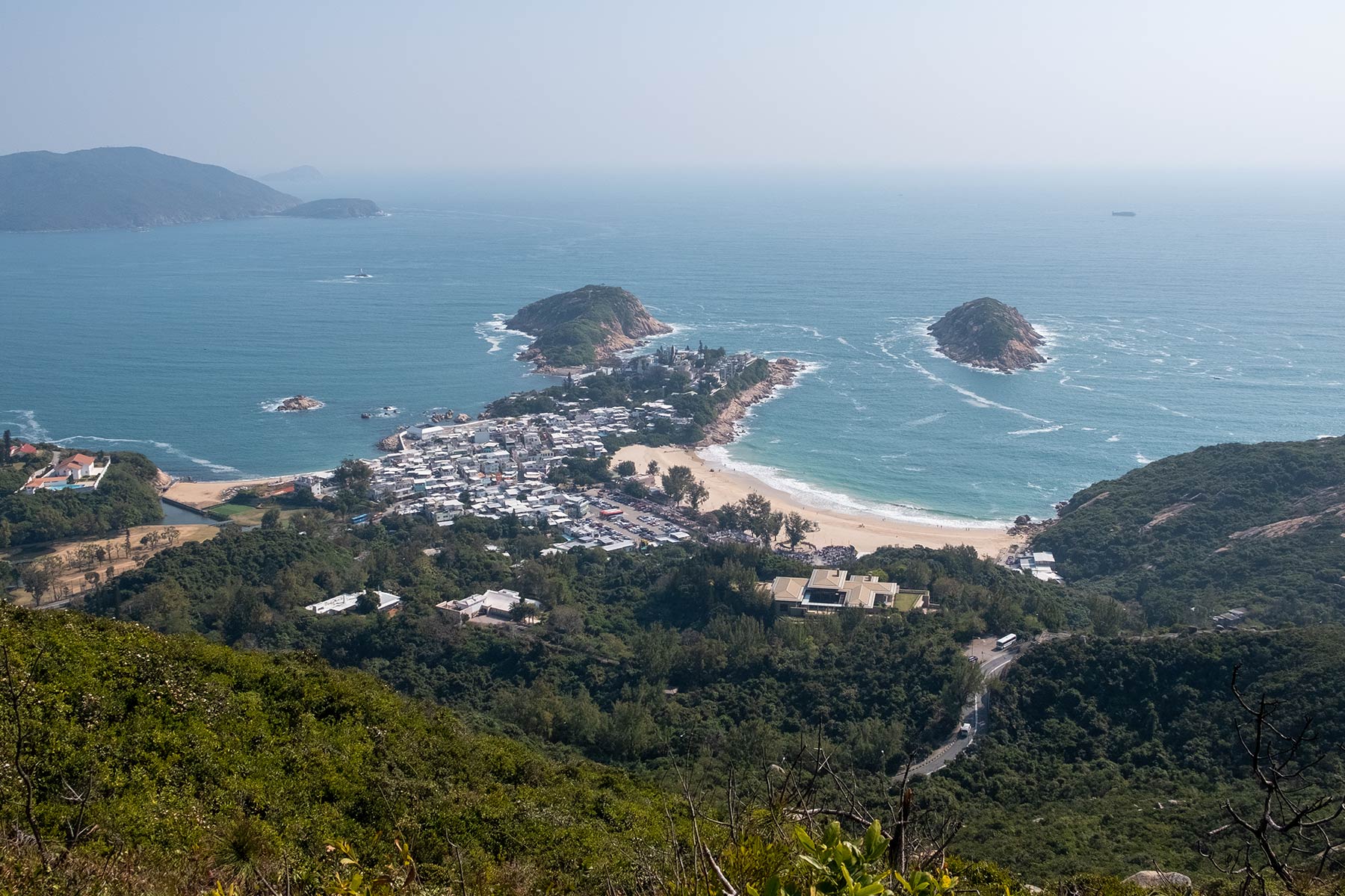 hongkong-dragons-back_01
