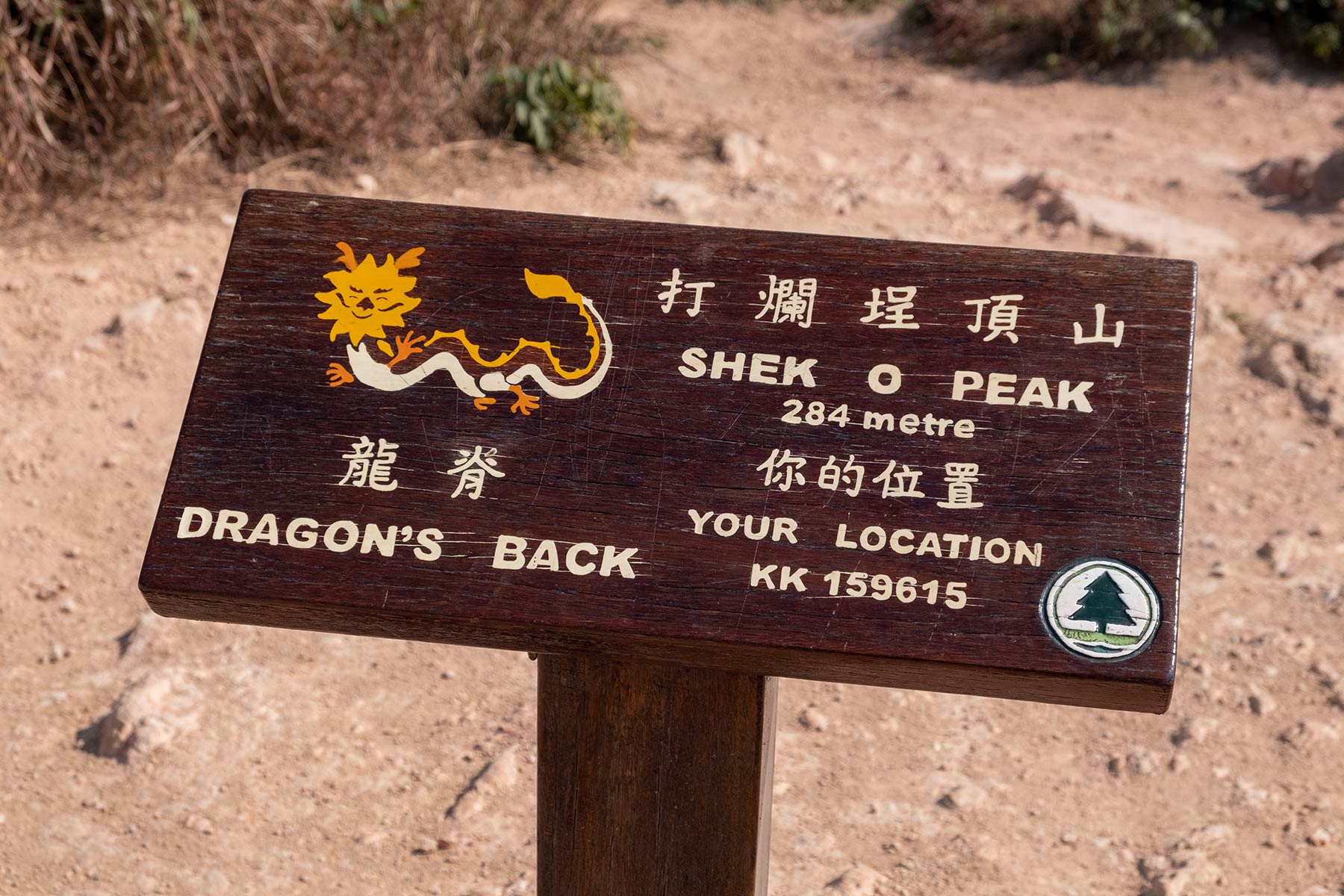 hongkong-dragons-back_05