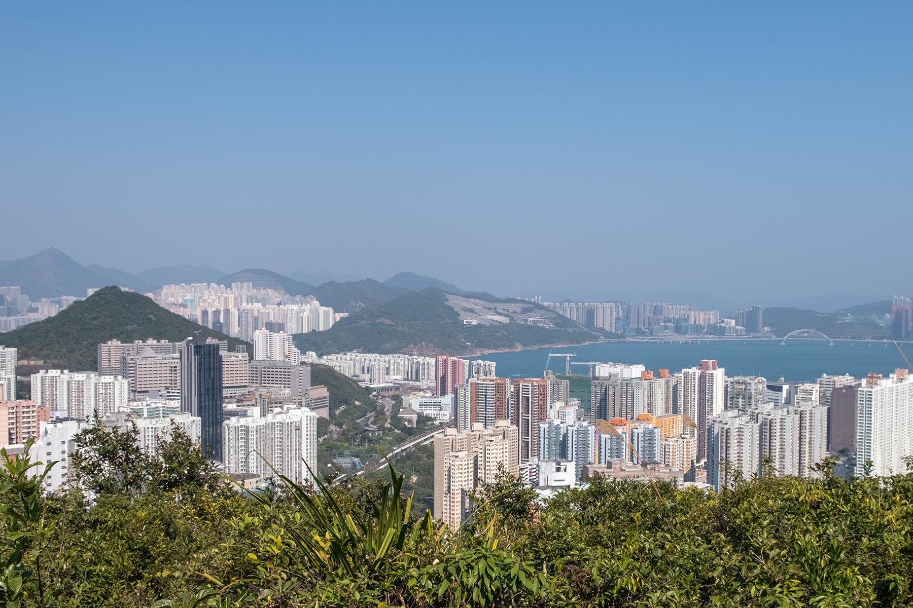 hongkong-dragons-back_06