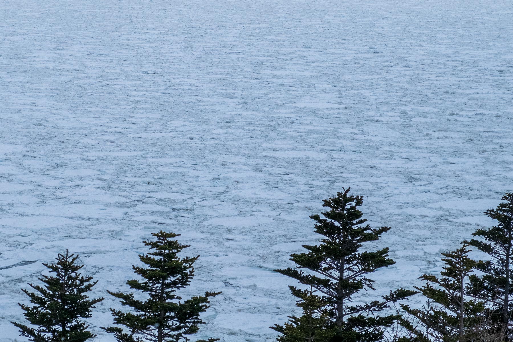 hokkaido-shiretoko-national-park-winter_04