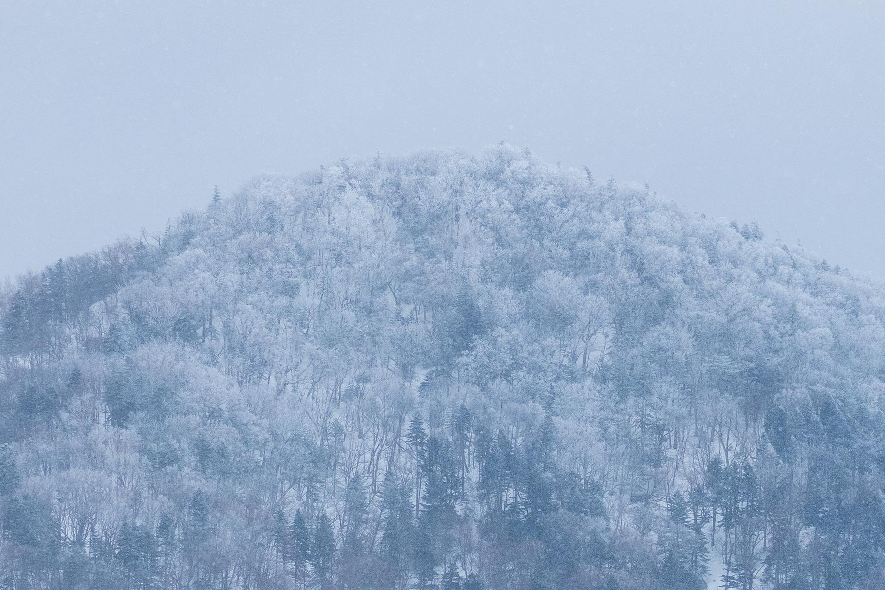 hokkaido-shiretoko-national-park-winter_10