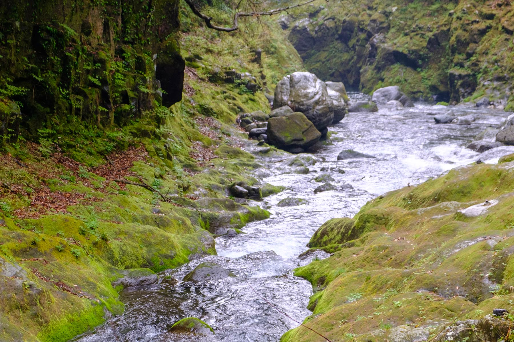 kagoshima_takachiho_14