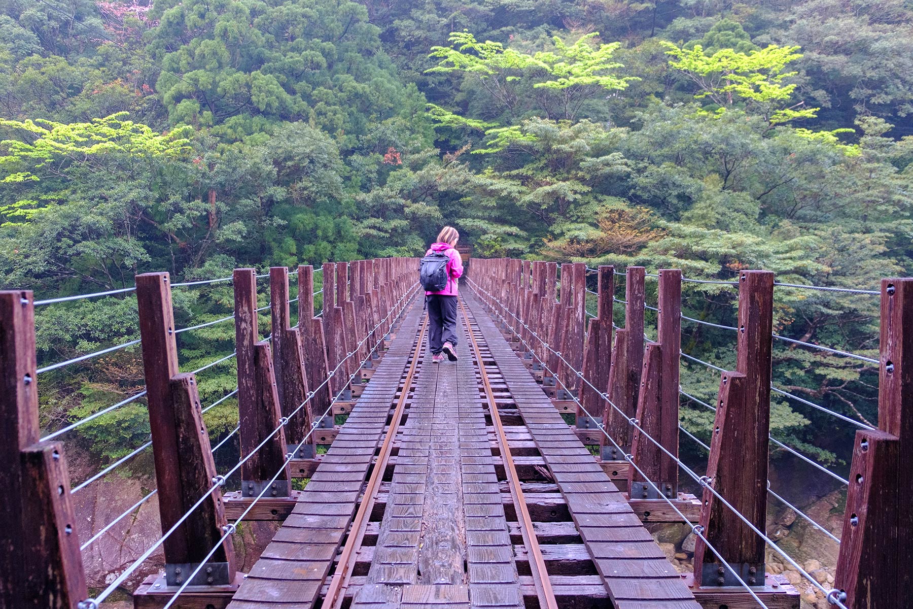 yakushima_jomon-sugi-wanderung_02