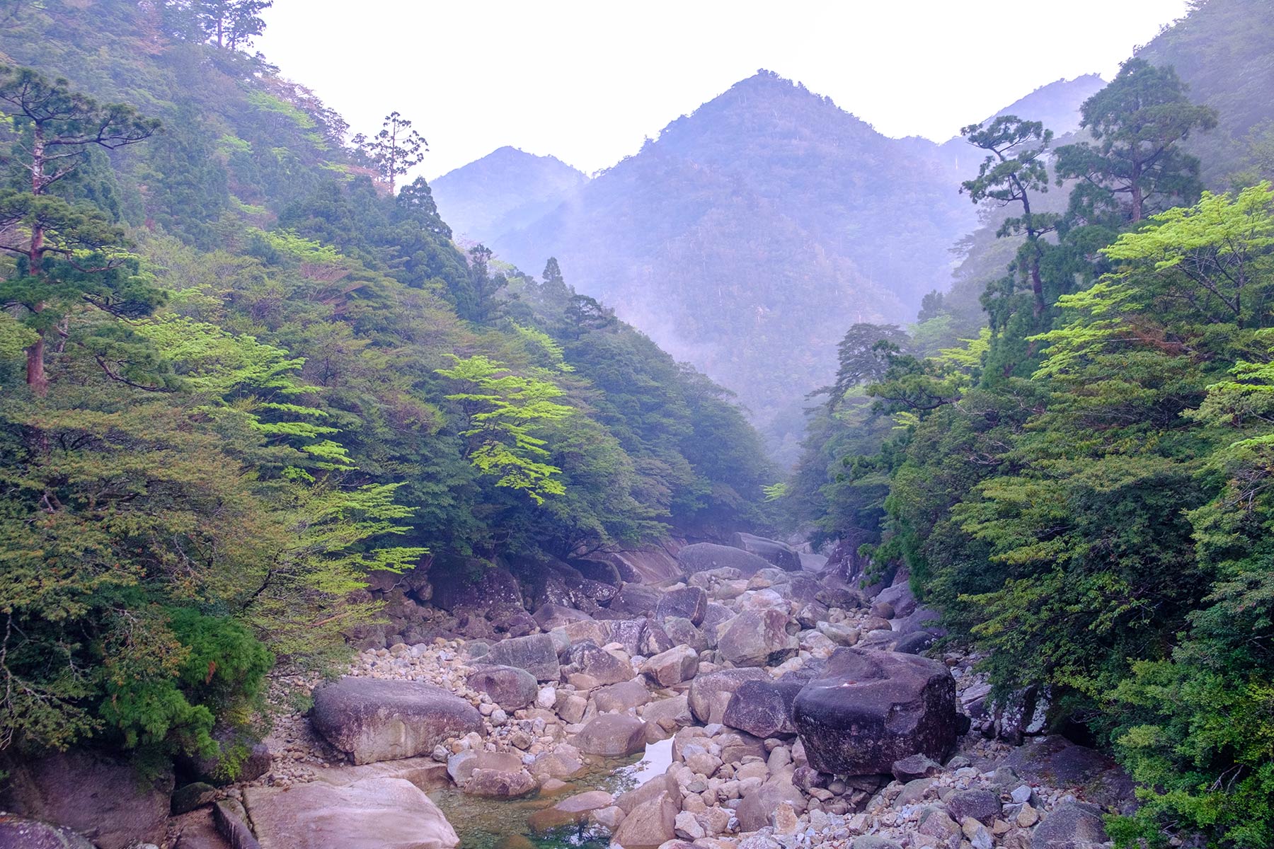 yakushima_jomon-sugi-wanderung_03