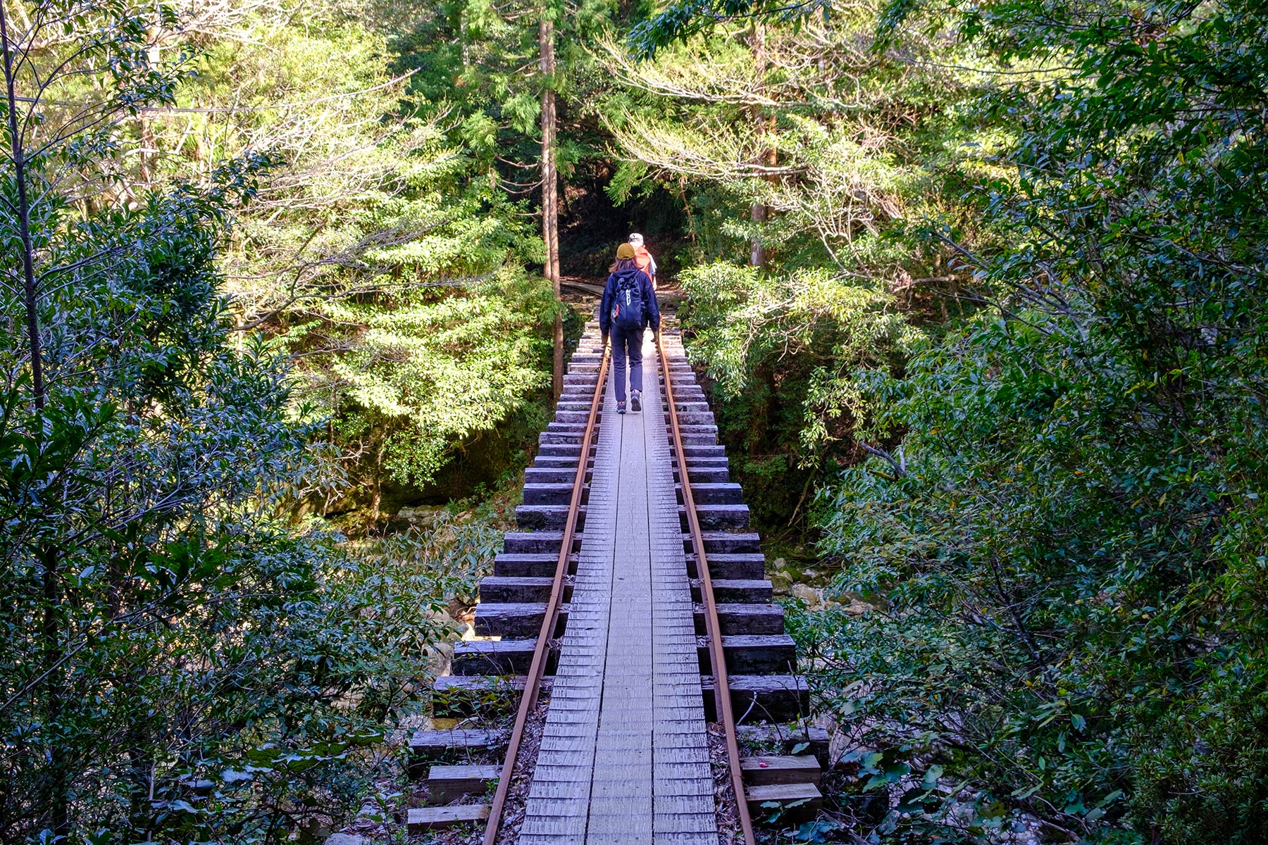 yakushima_jomon-sugi-wanderung_26