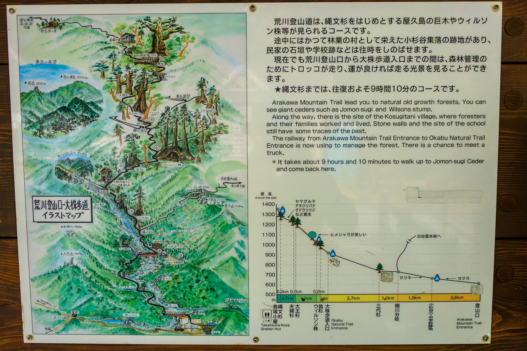 yakushima_jomon-sugi-wanderung_27