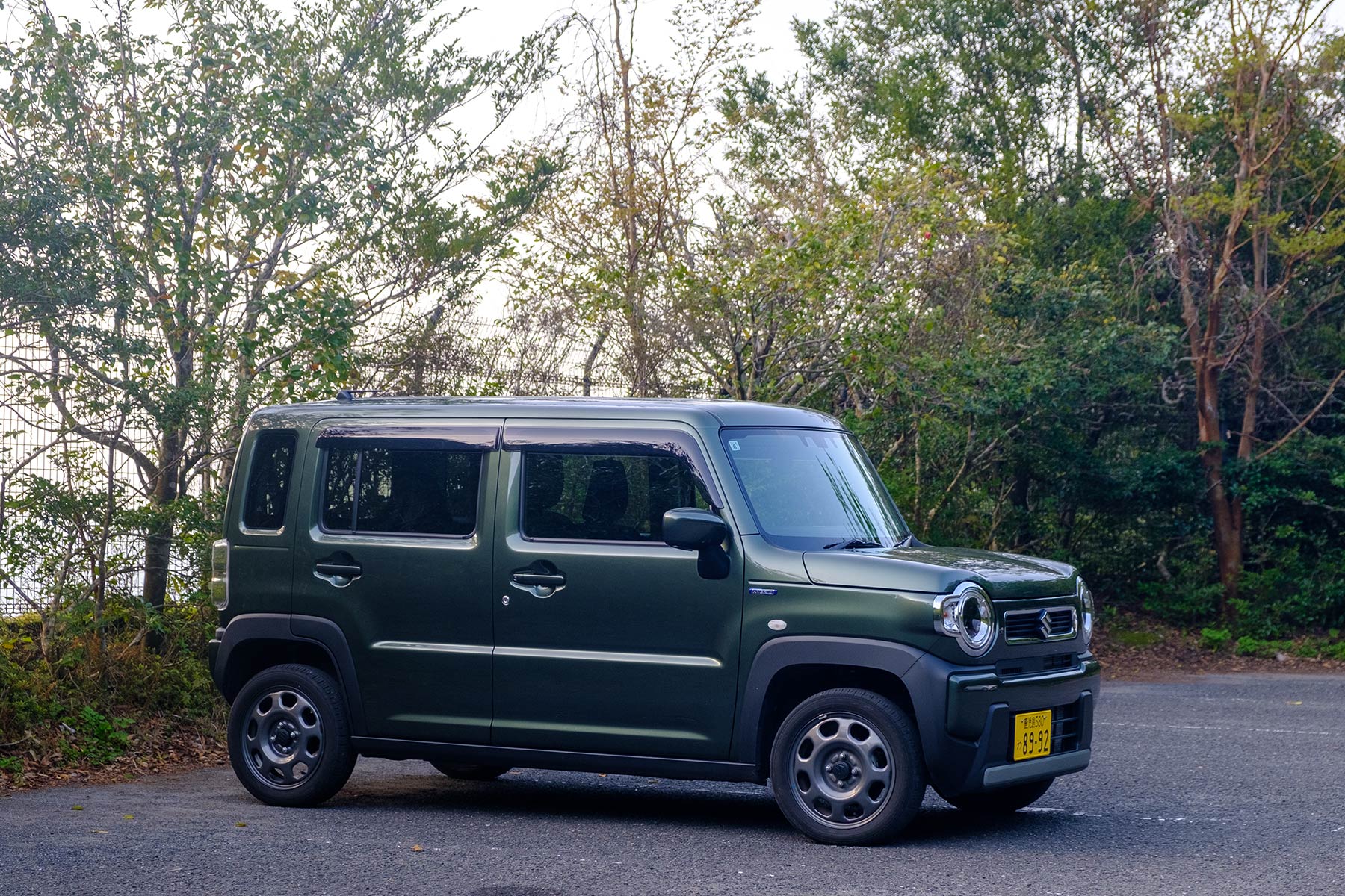 yakushima_kokemusu-mori_17