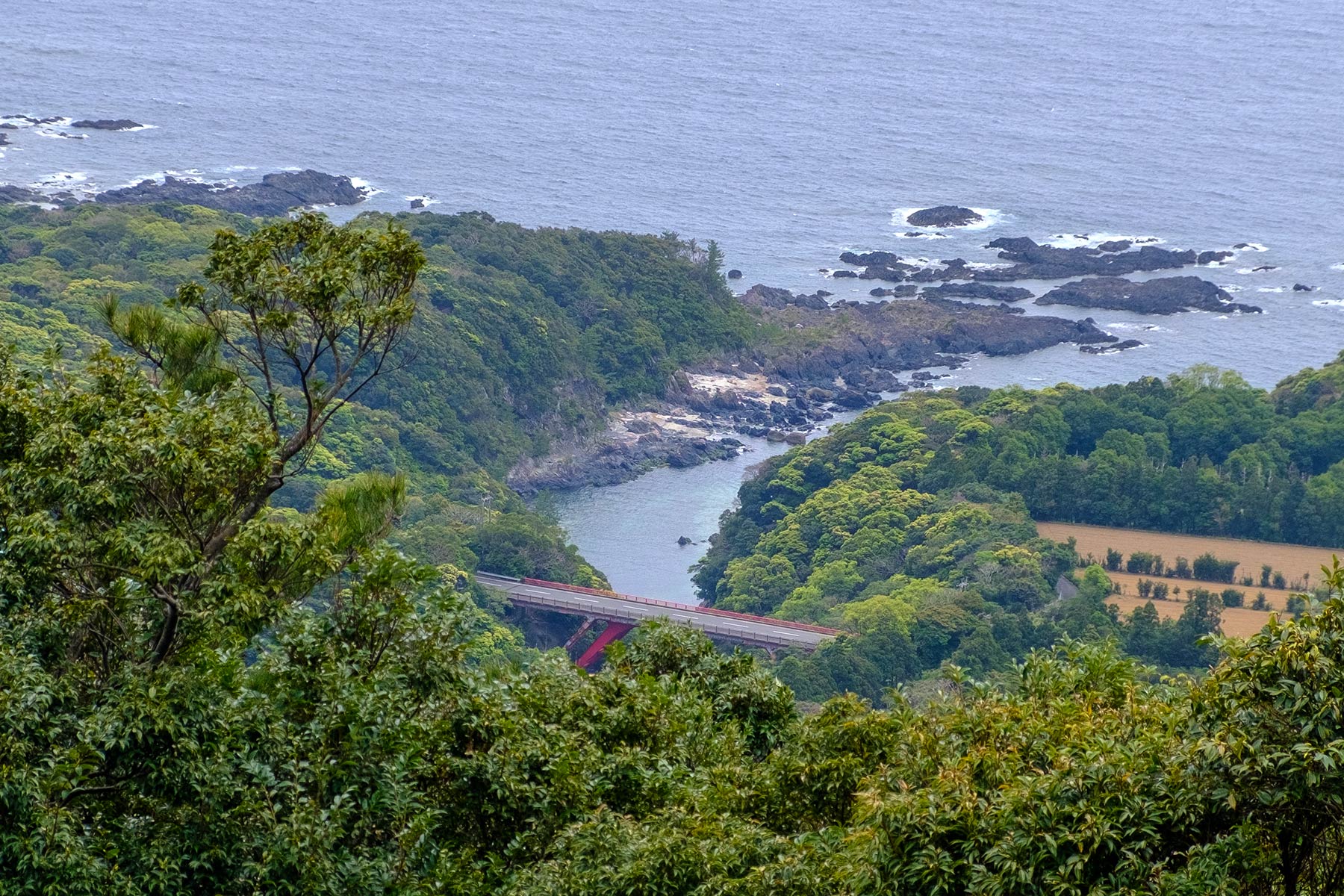 yakushima_wasserfaelle_03