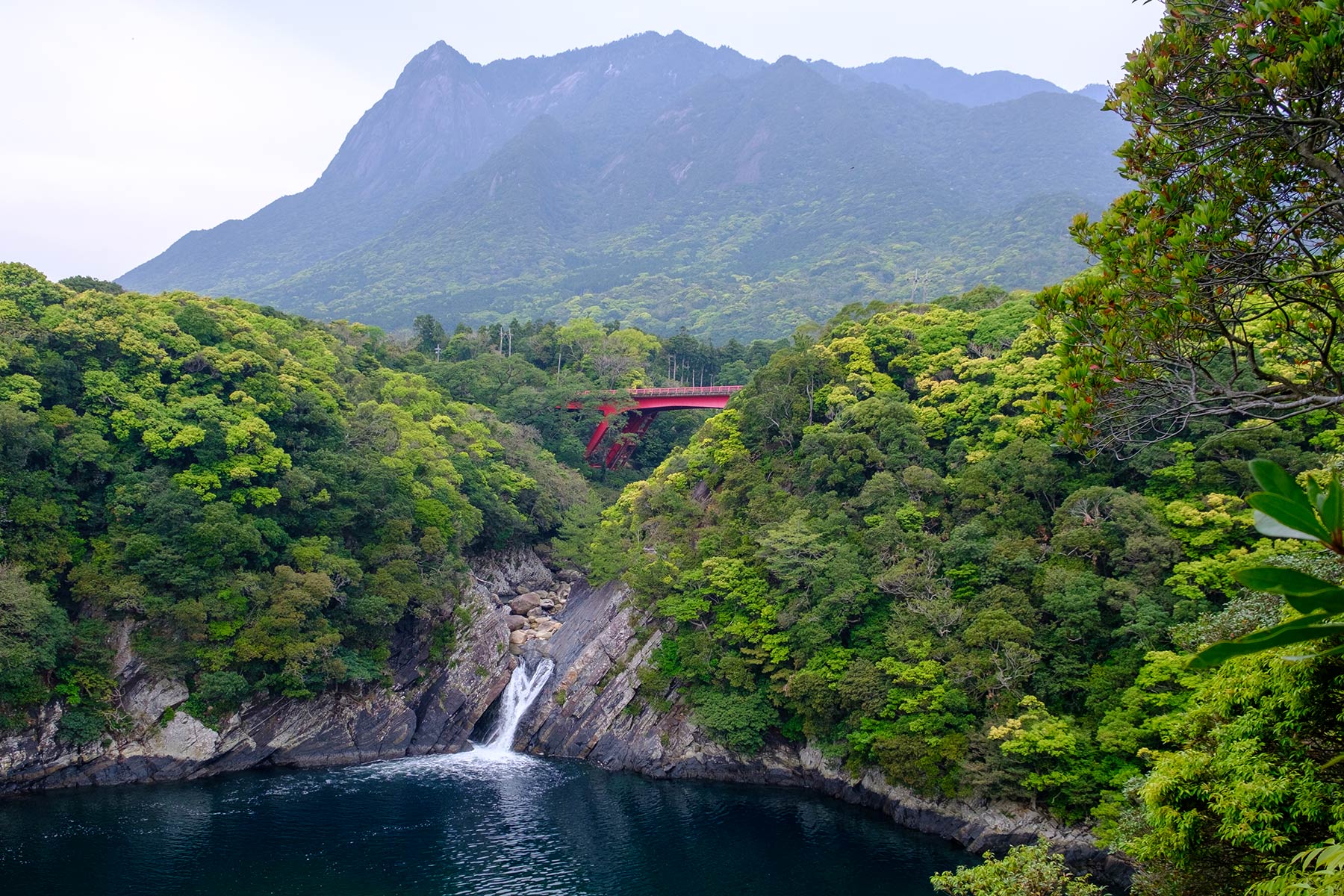 yakushima_wasserfaelle_04