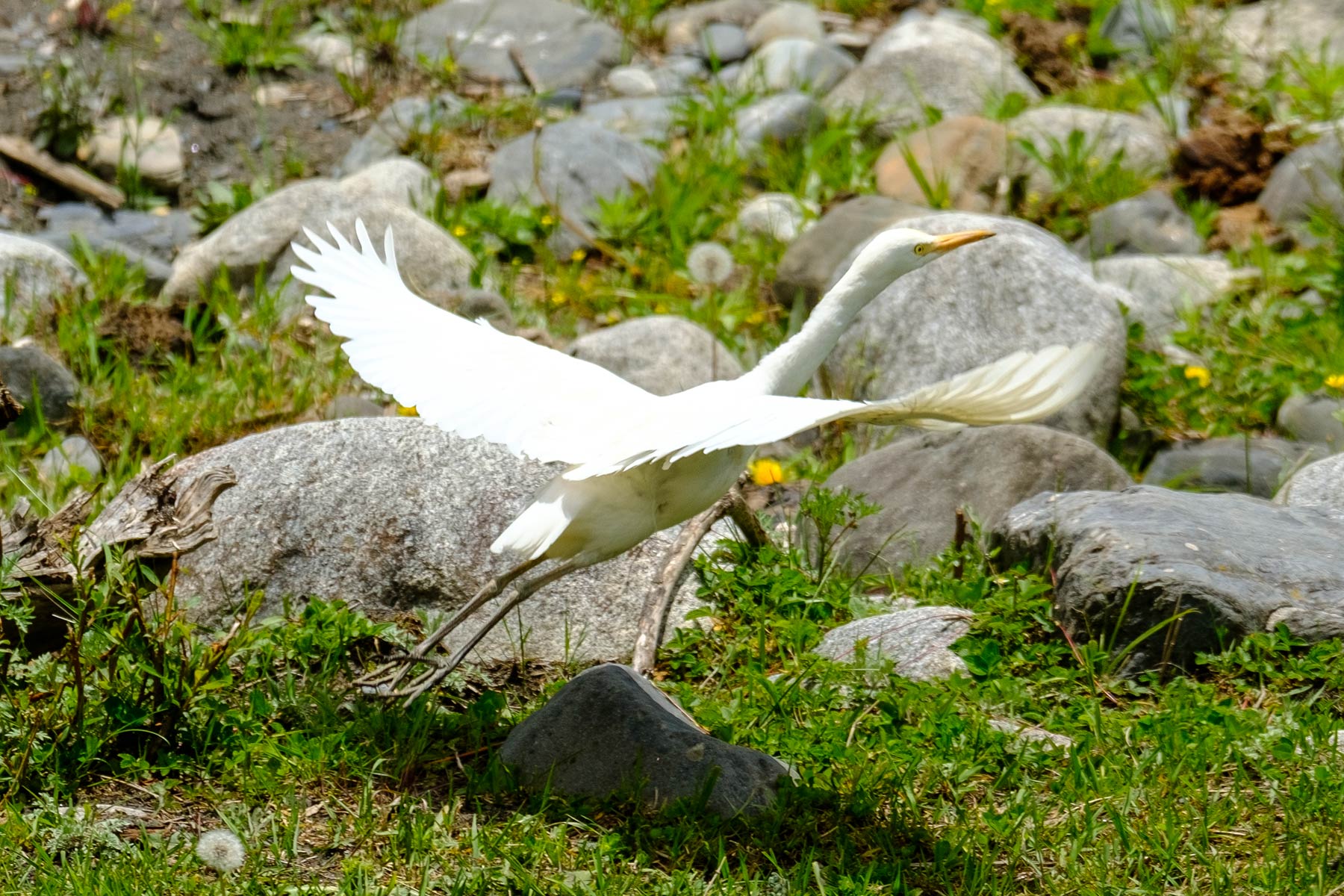china_dagu-glacier_18
