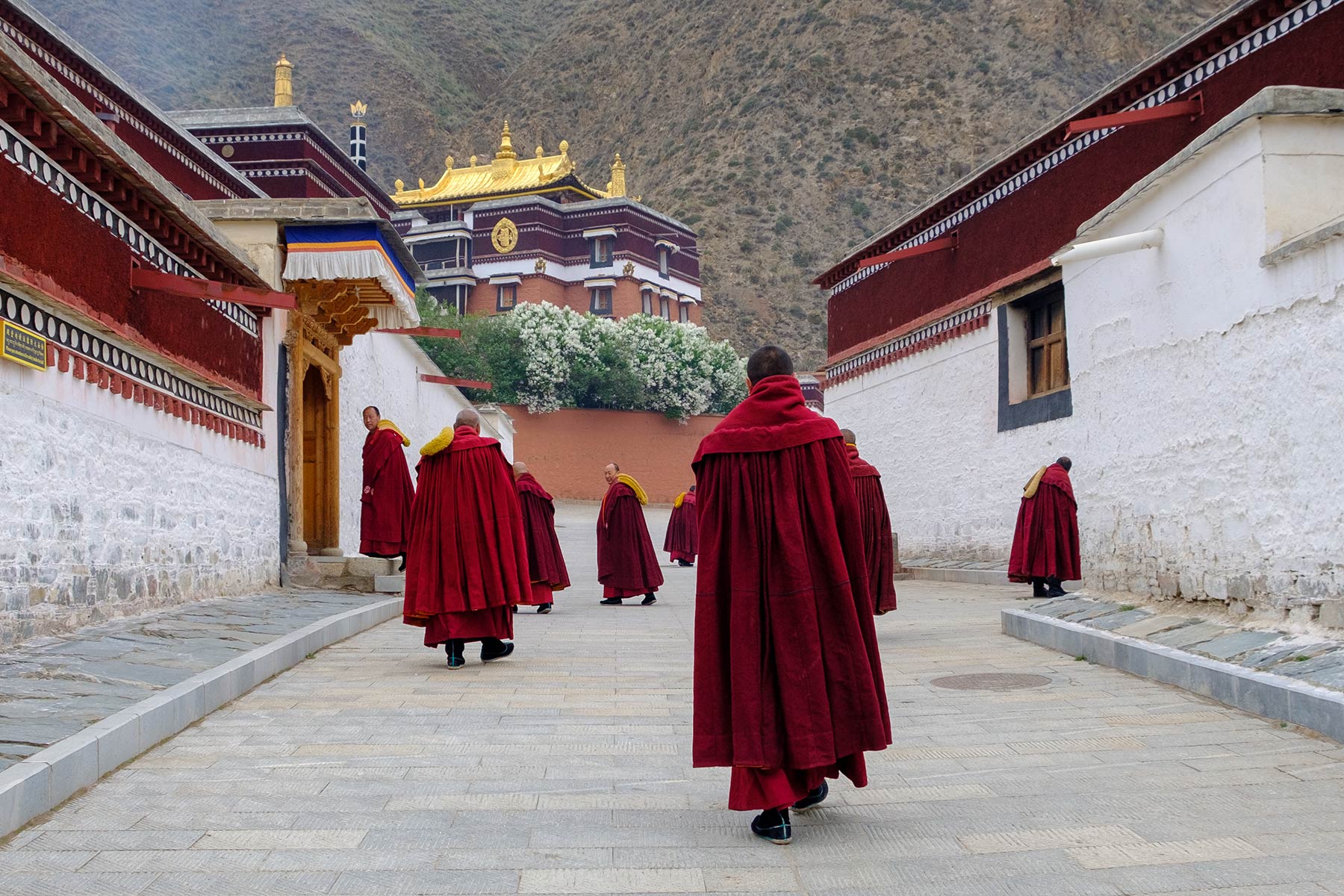 china_labrang-kloster-budhist_12