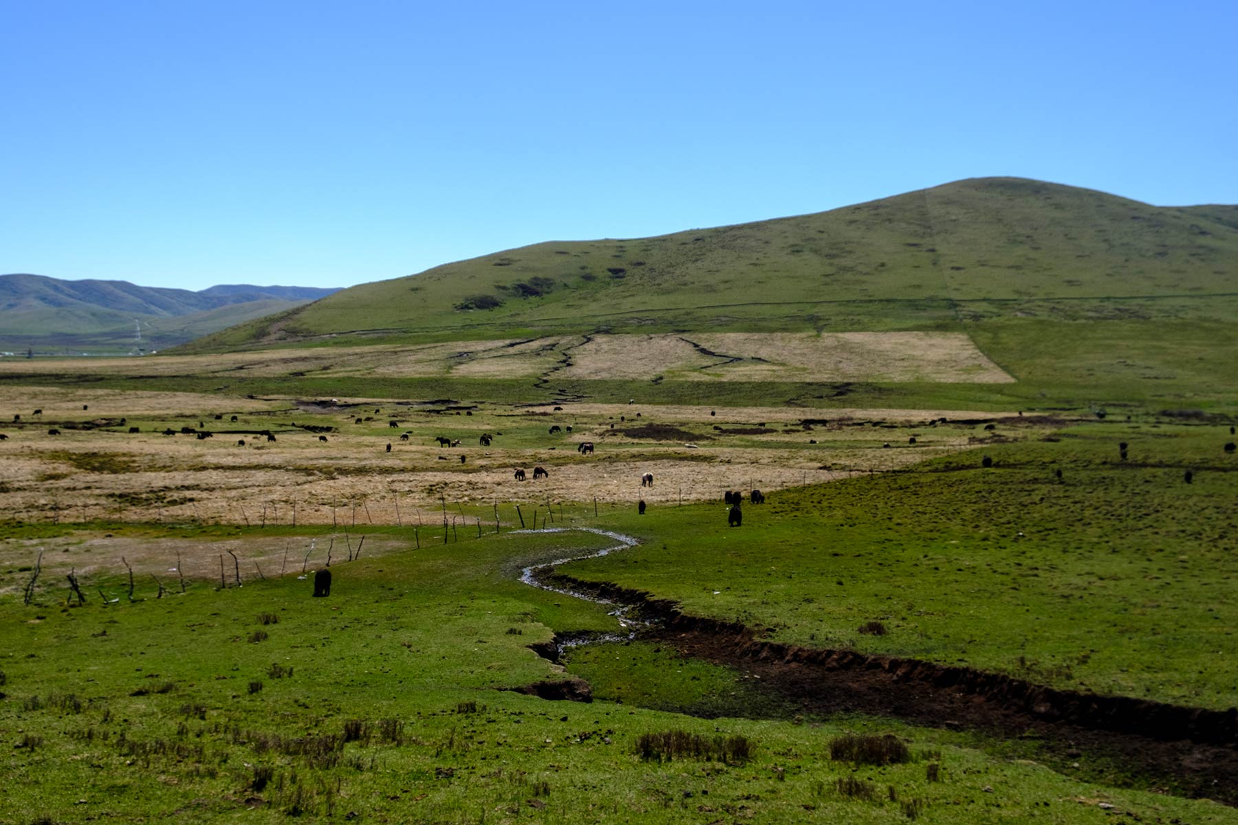 china_sichuan-grassland_02