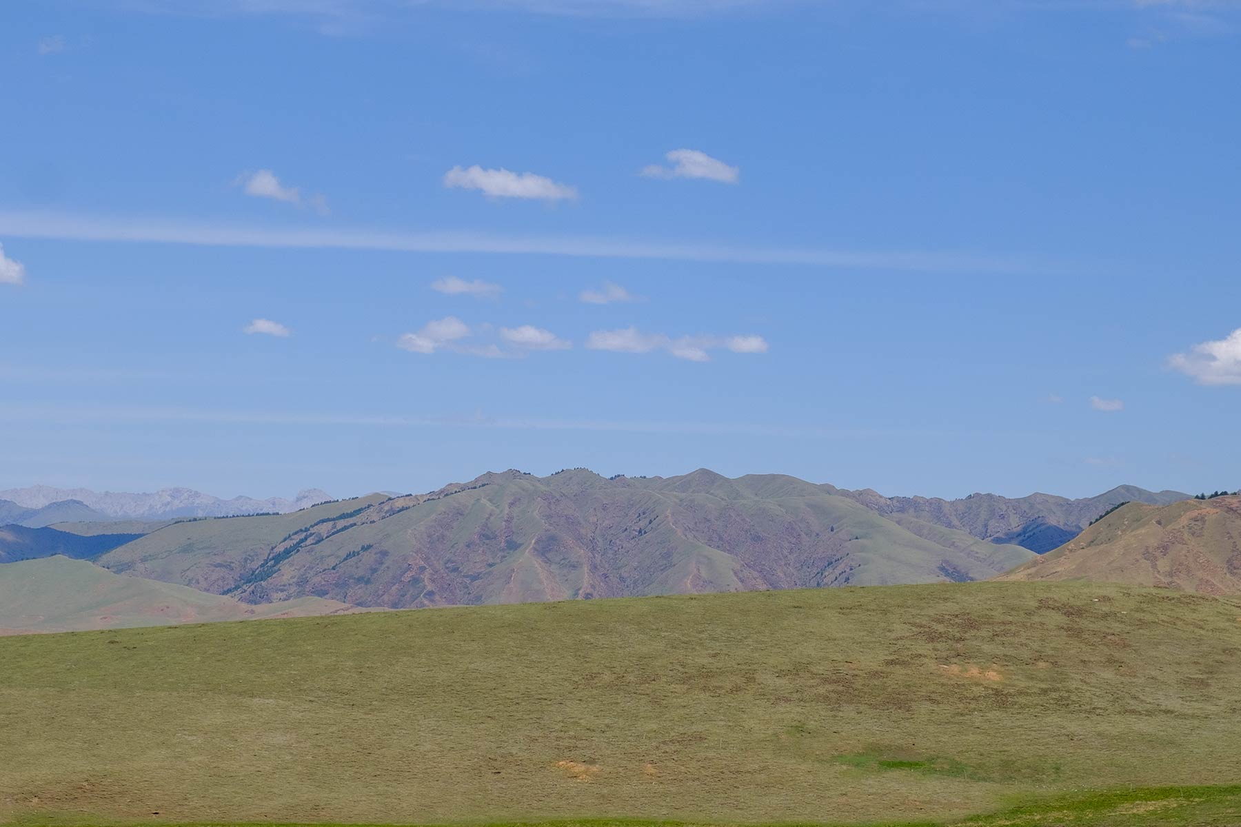china_sichuan-grassland_16