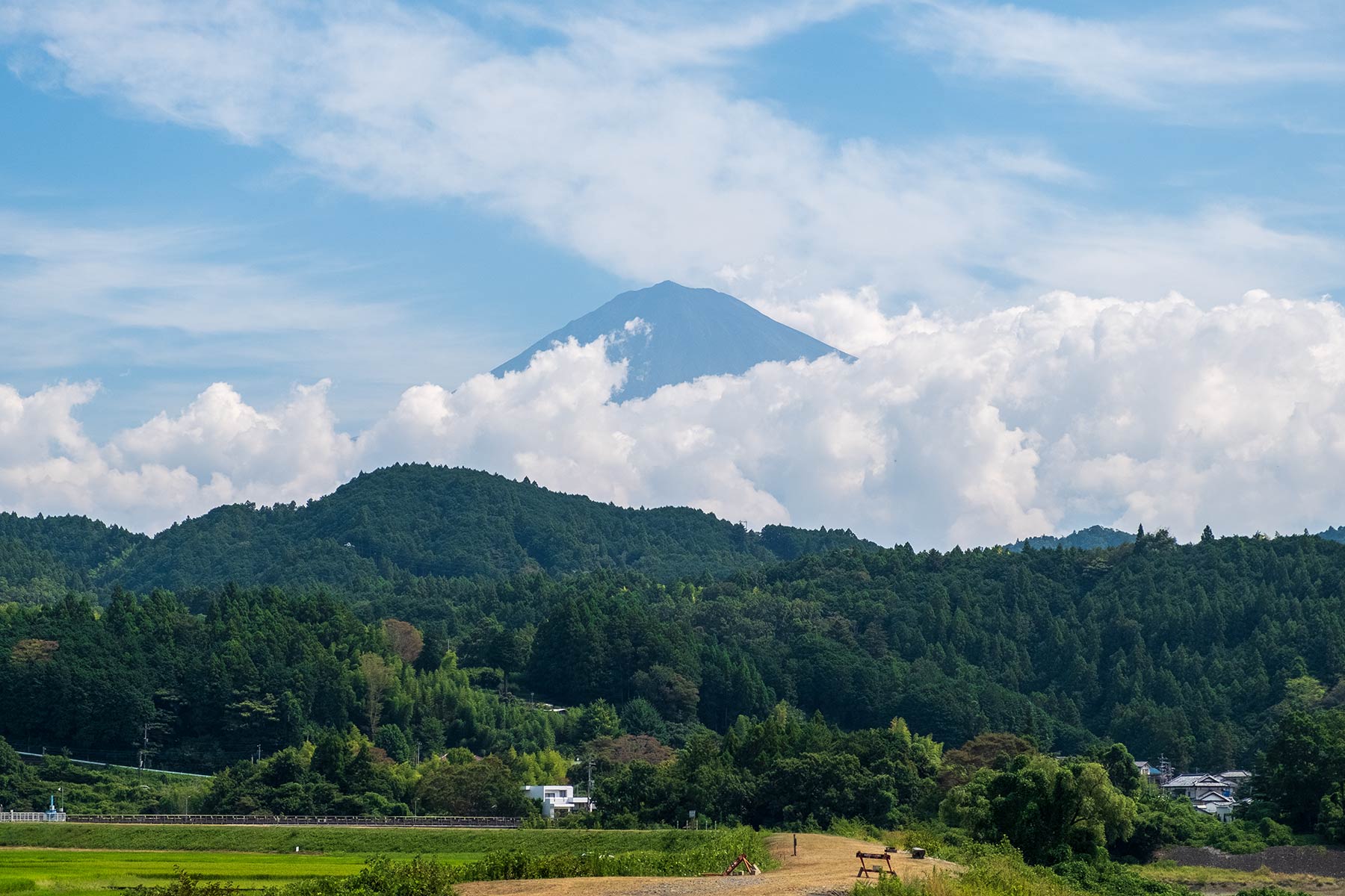 Blick auf den Mt. Fuji im Sommer