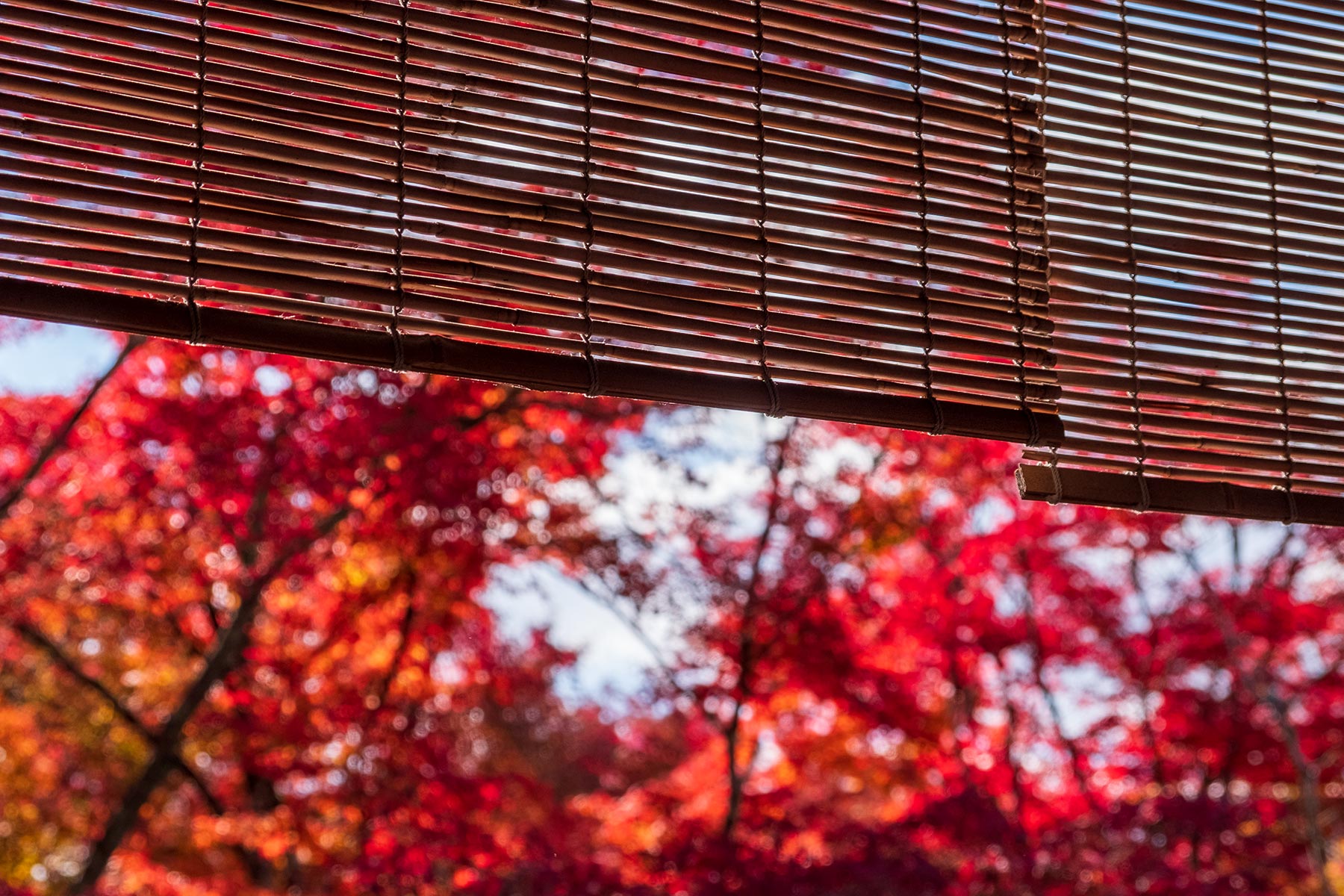 japan_eikan-do-tempel_13