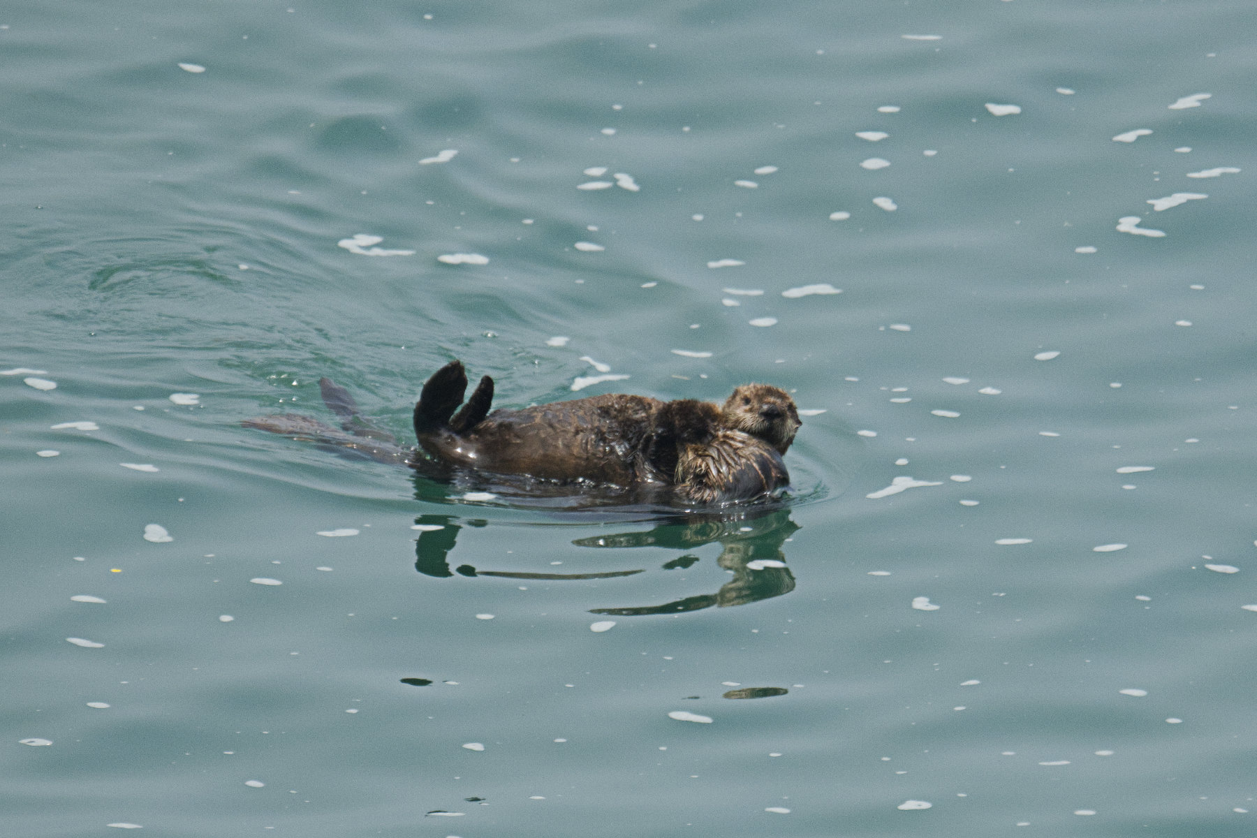 hokkaido_cape-kiritappu_12