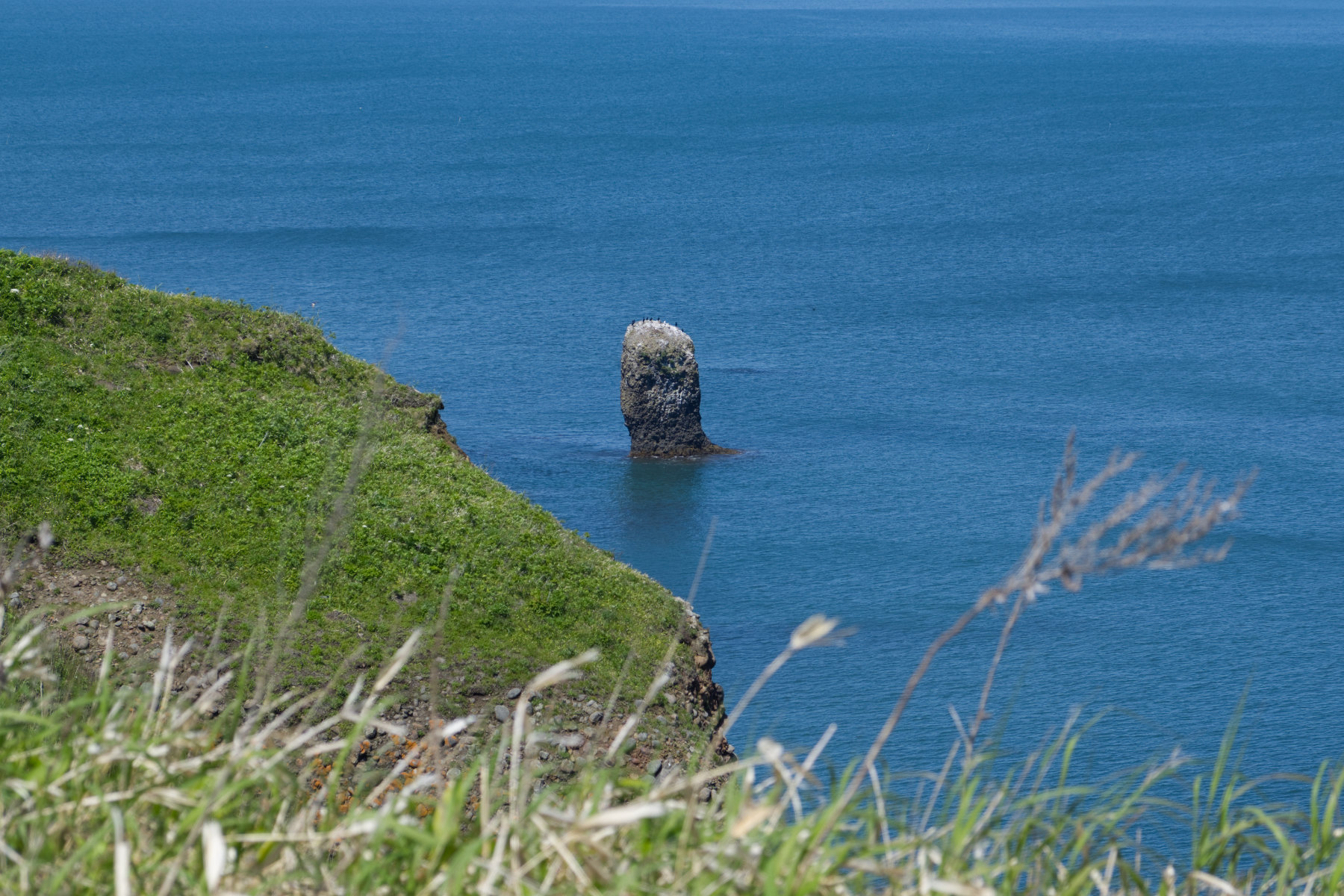 hokkaido_cape-kiritappu_13