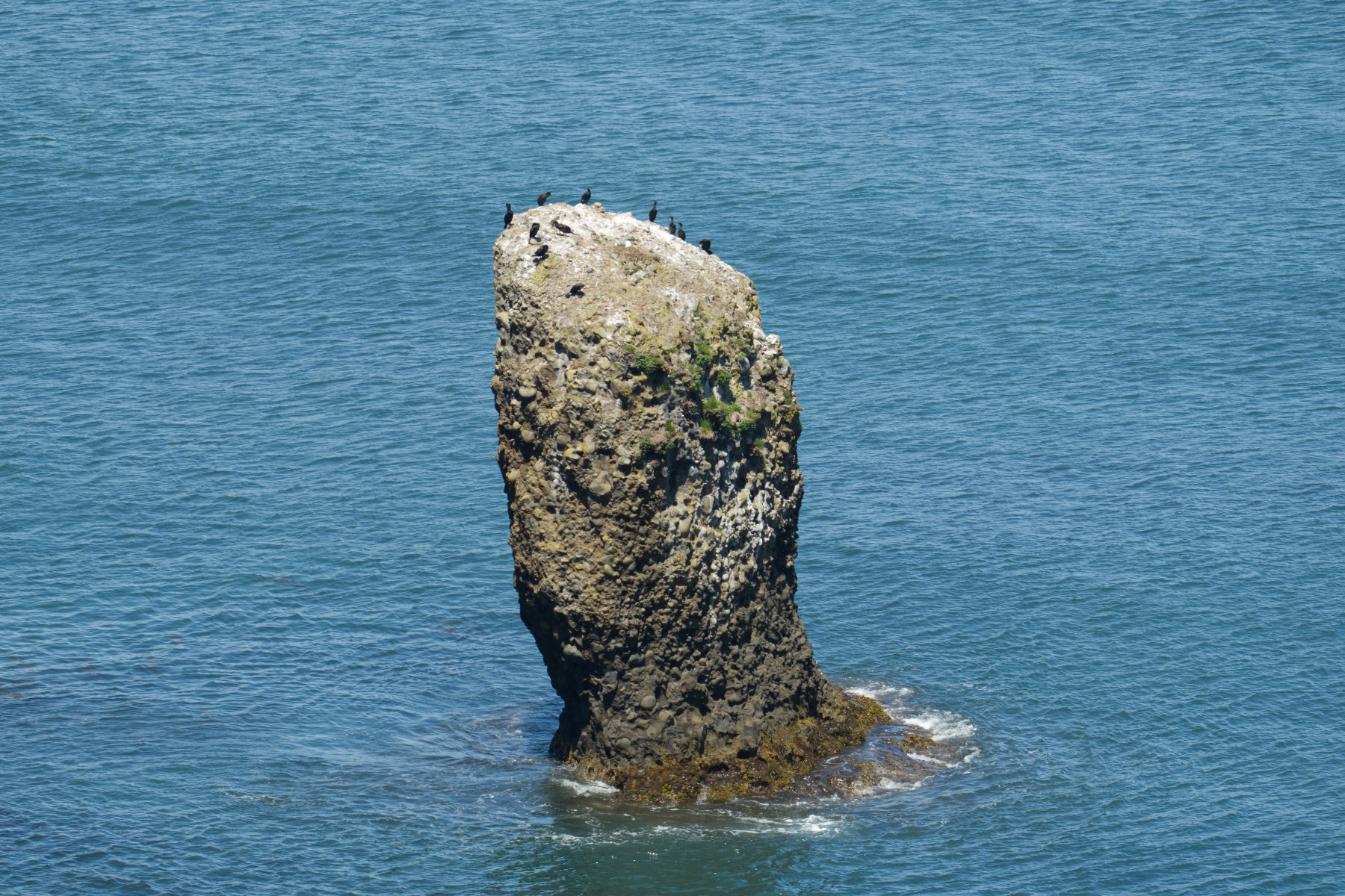 hokkaido_cape-kiritappu_14