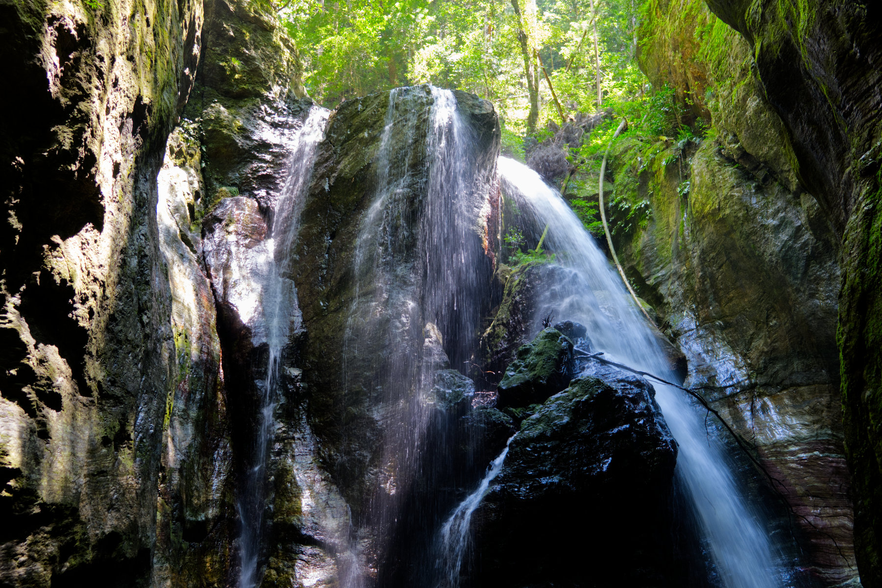 nakatsu-gorge_10