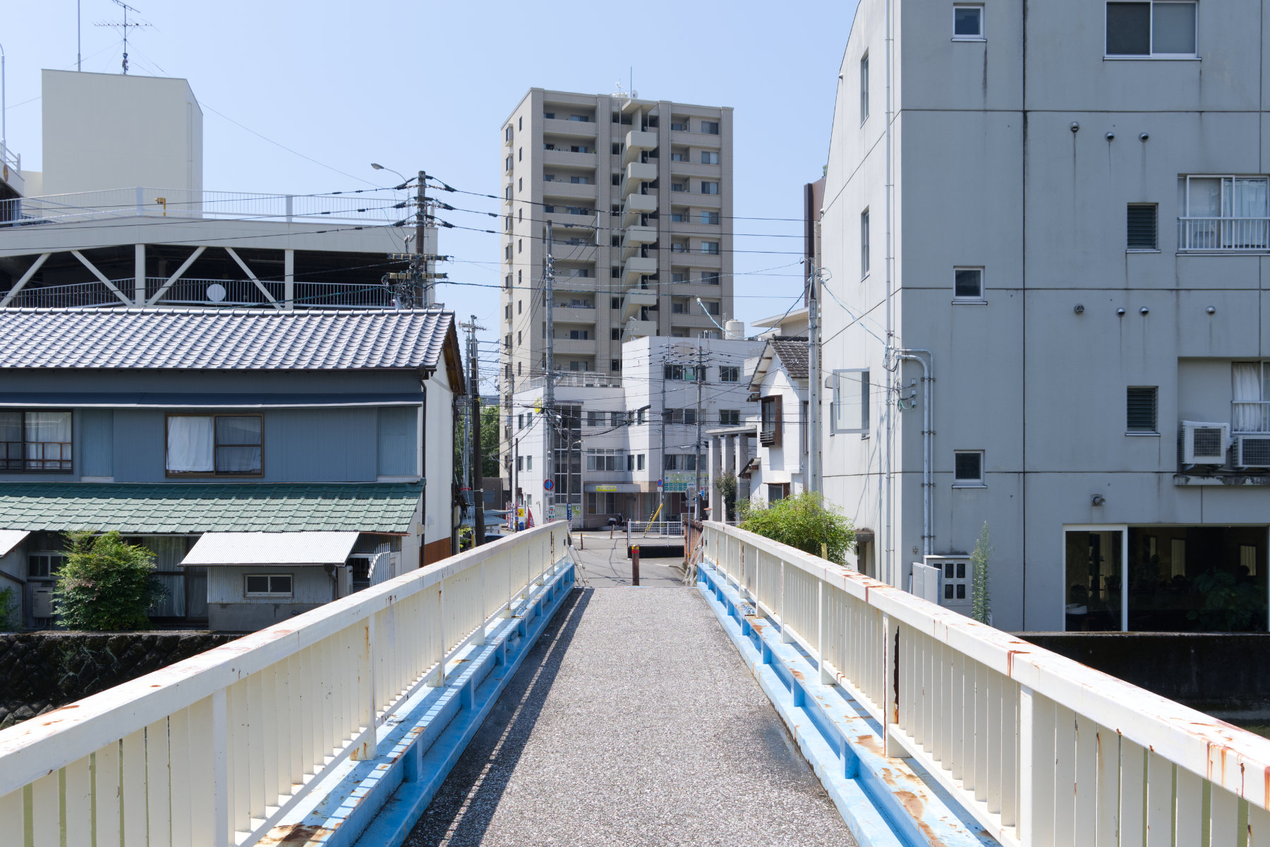shikoku_kochi-market-and-ekin-festival_01