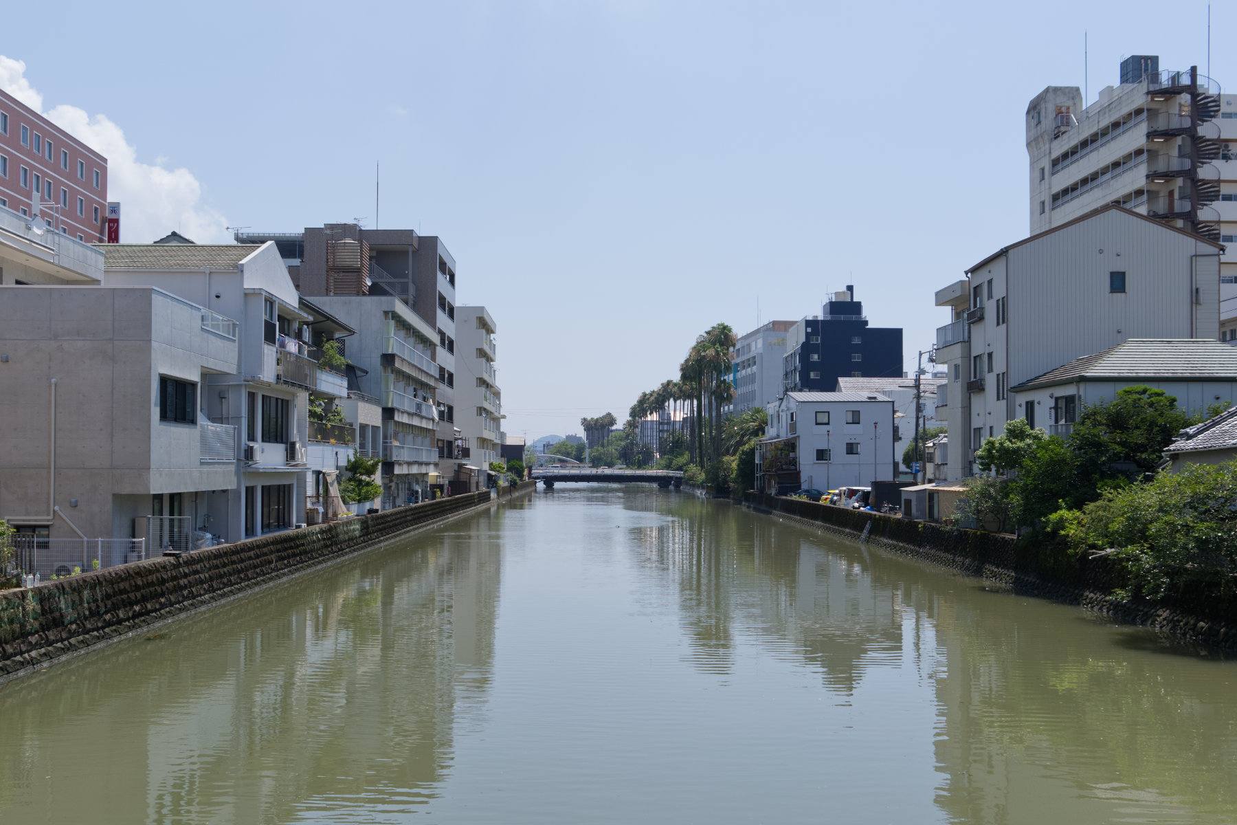 shikoku_kochi-market-and-ekin-festival_02