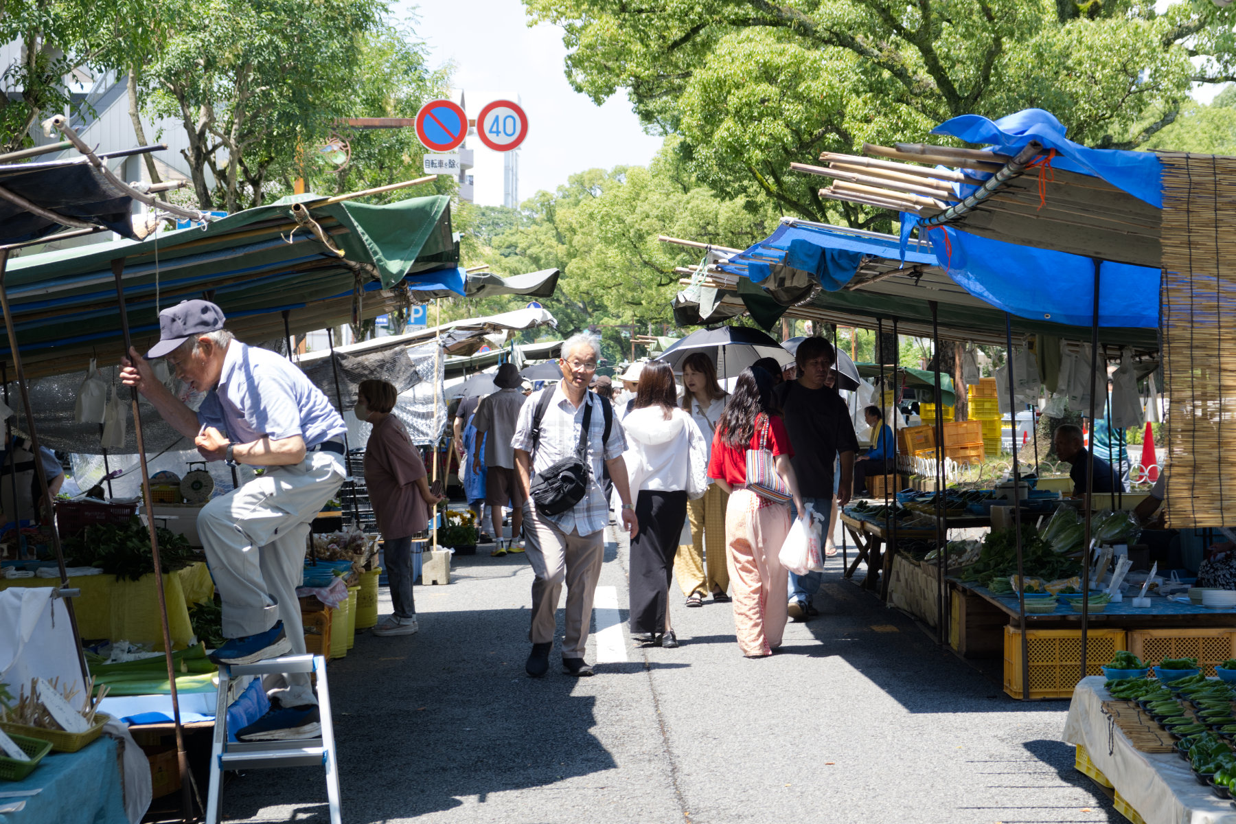 shikoku_kochi-market-and-ekin-festival_03