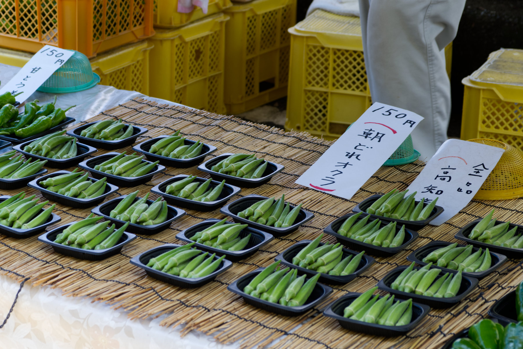 shikoku_kochi-market-and-ekin-festival_04