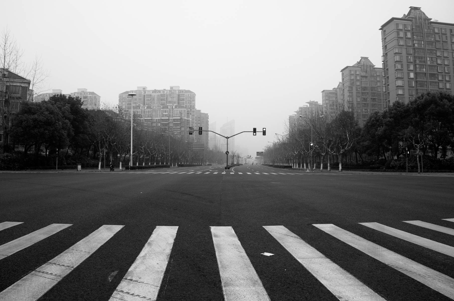 chinese-new-year-2014_015