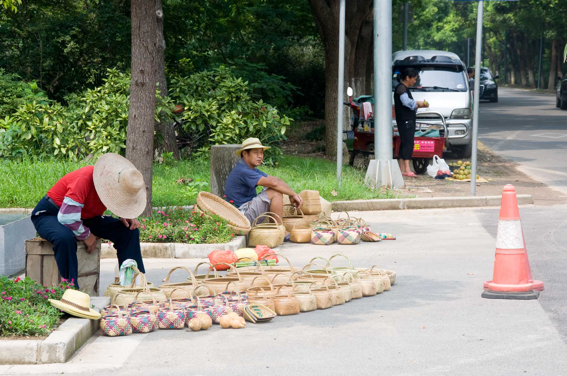 chongming-forest-park_001