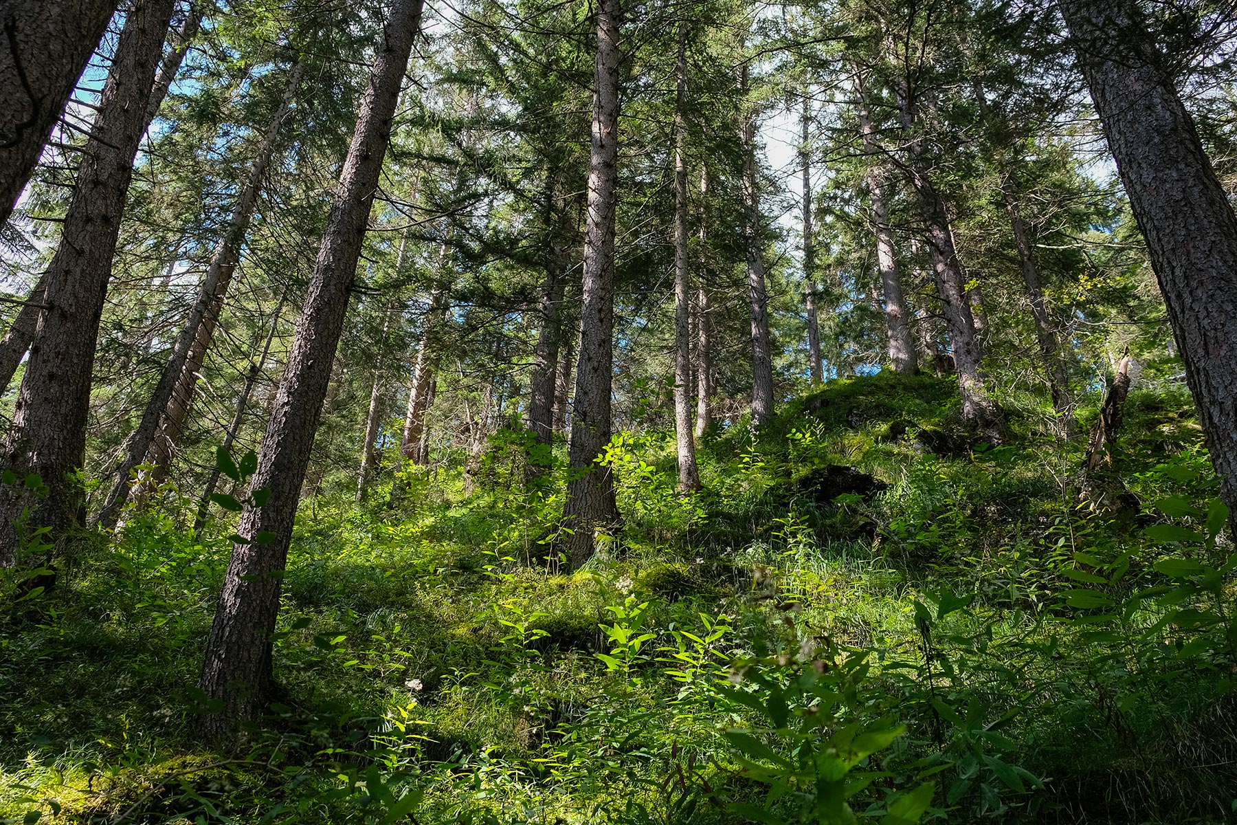 oesterreich-holzgau-haengebruecke_04