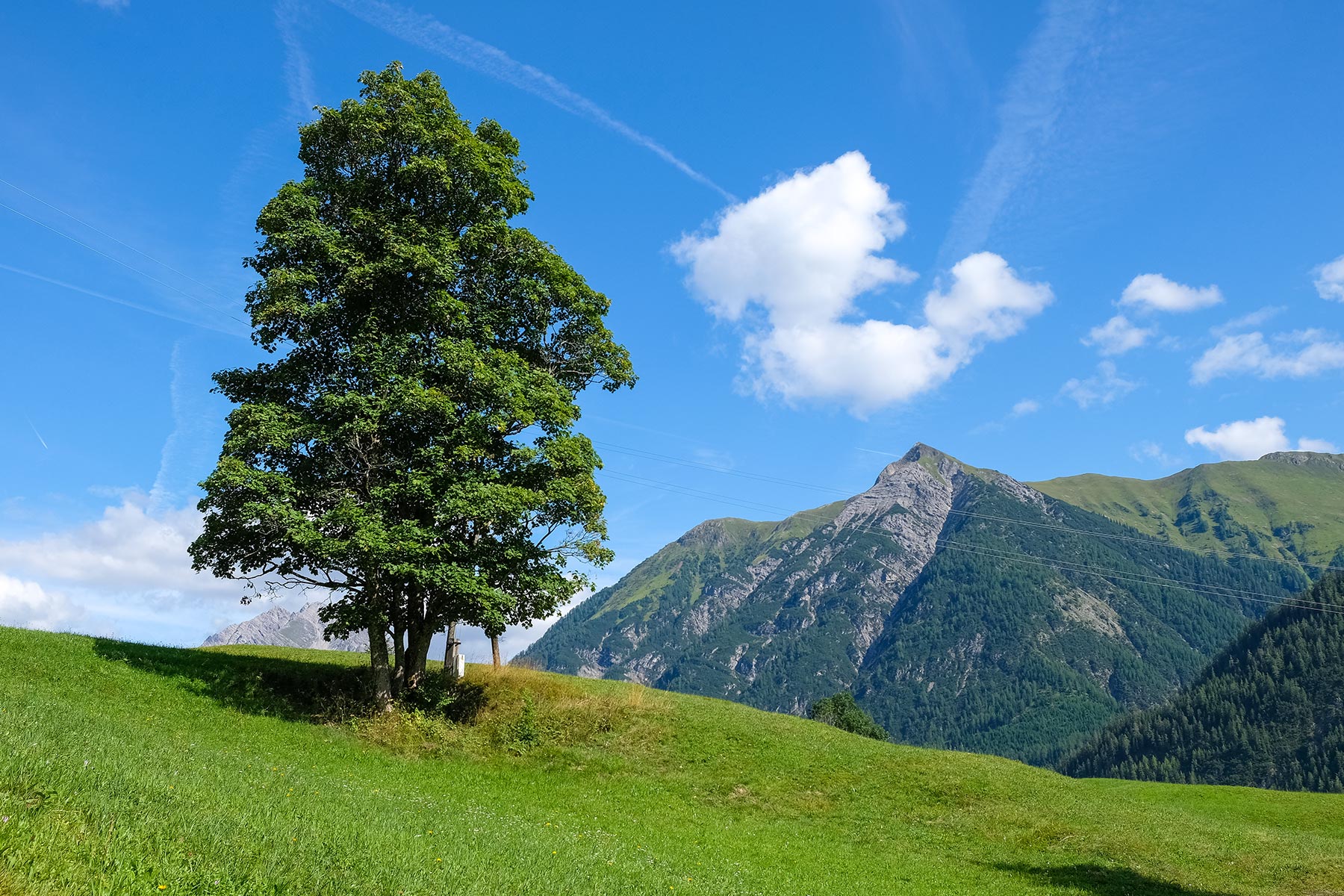 oesterreich-holzgau-haengebruecke_05