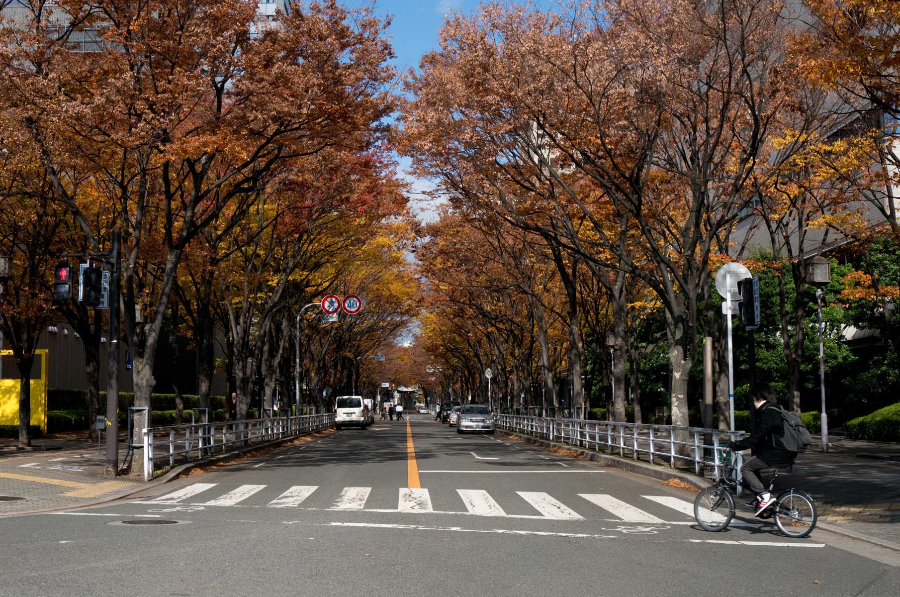 osaka-castle_012