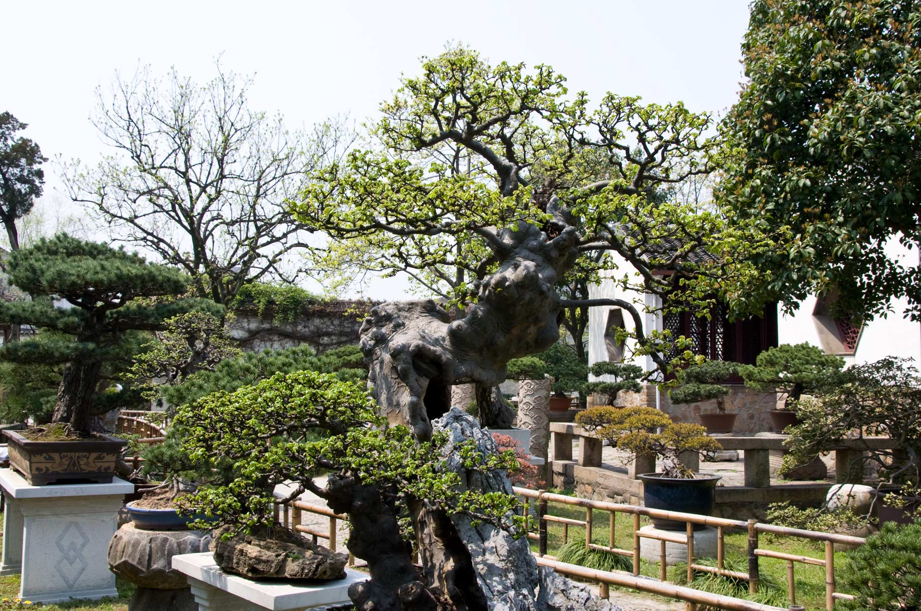 suzhou_005a